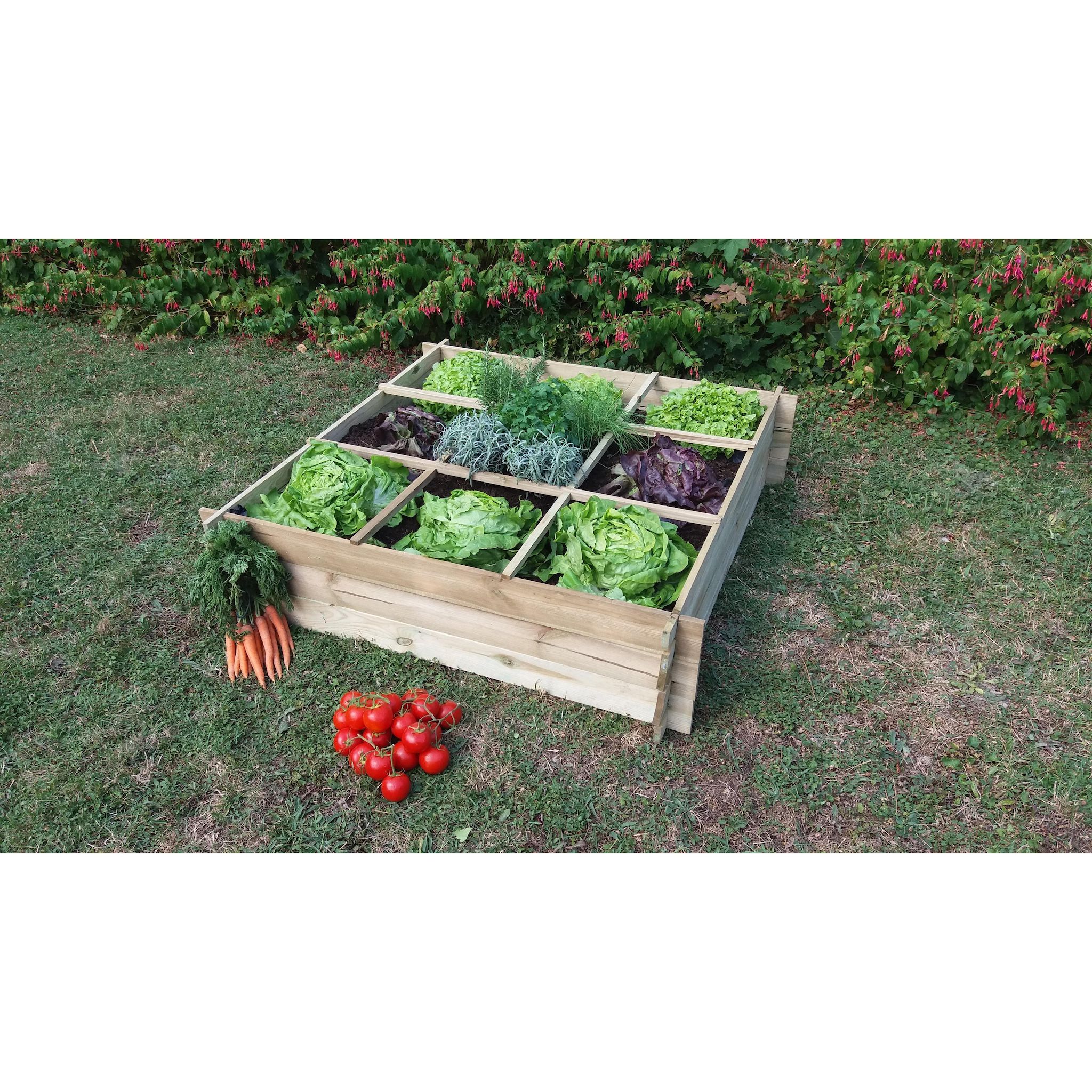 GARDENSTAR Carré potager 120x120xH30 cm avec séparateurs et géotextile