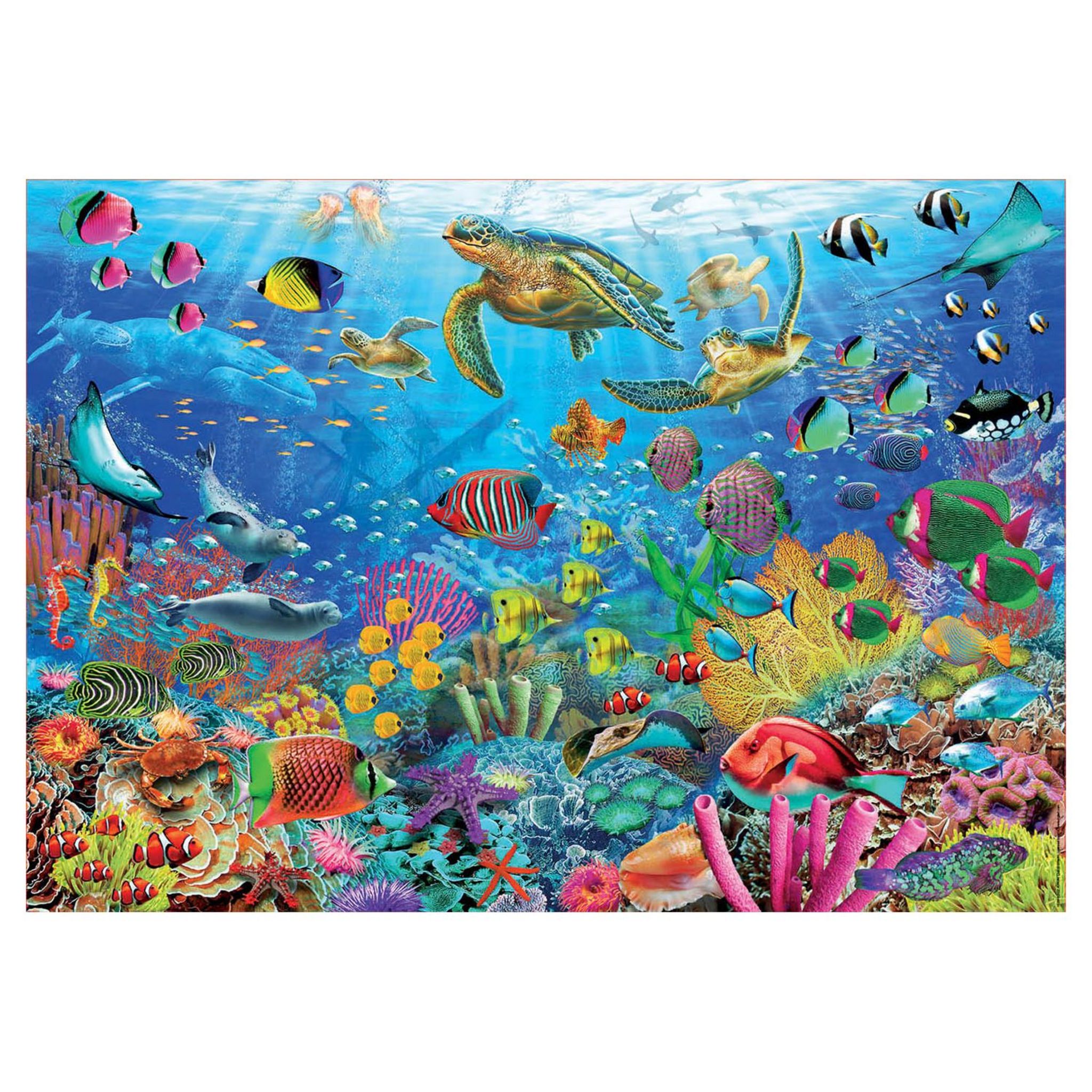 Voir la diapositive 4 : EDUCA Puzzle Tropical Fantasy Turtles