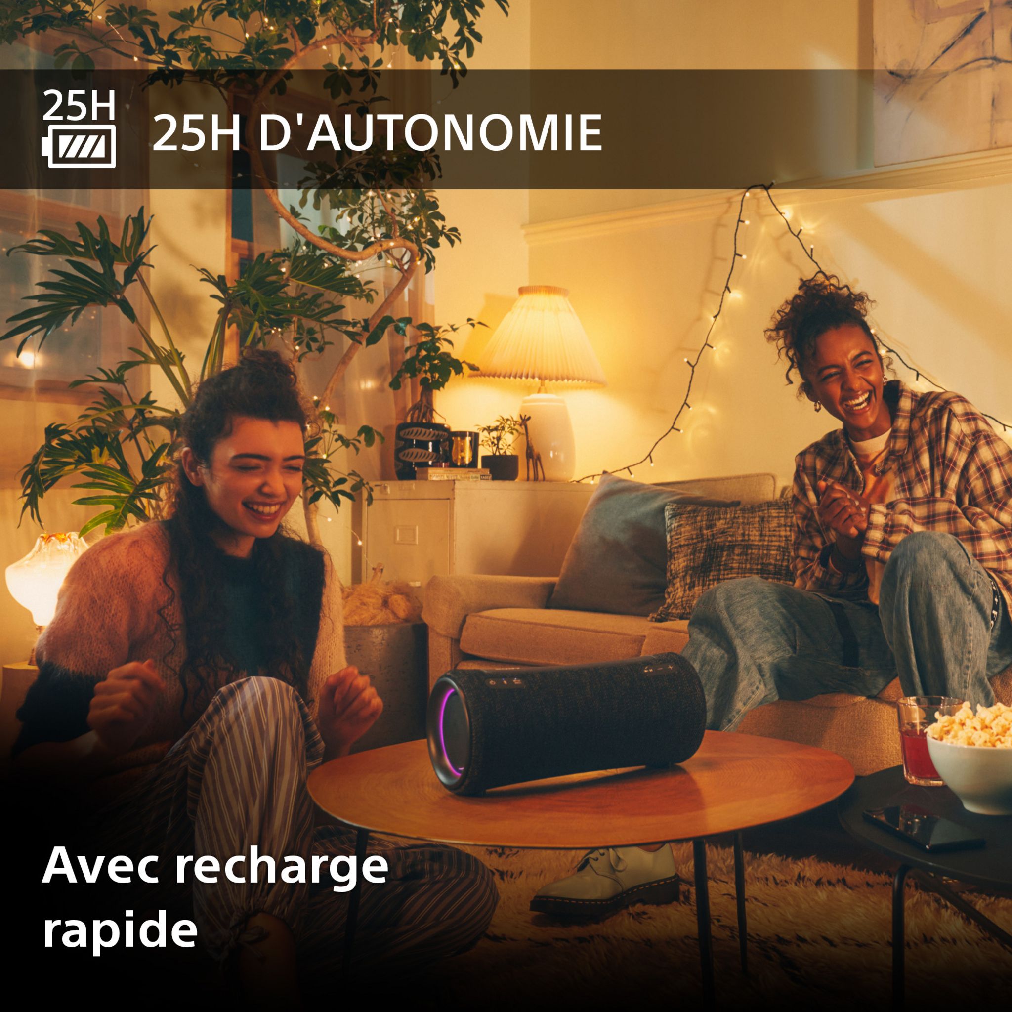 Voir la diapositive 4 : SONY Enceinte portable XG 300 XTREM - Grise