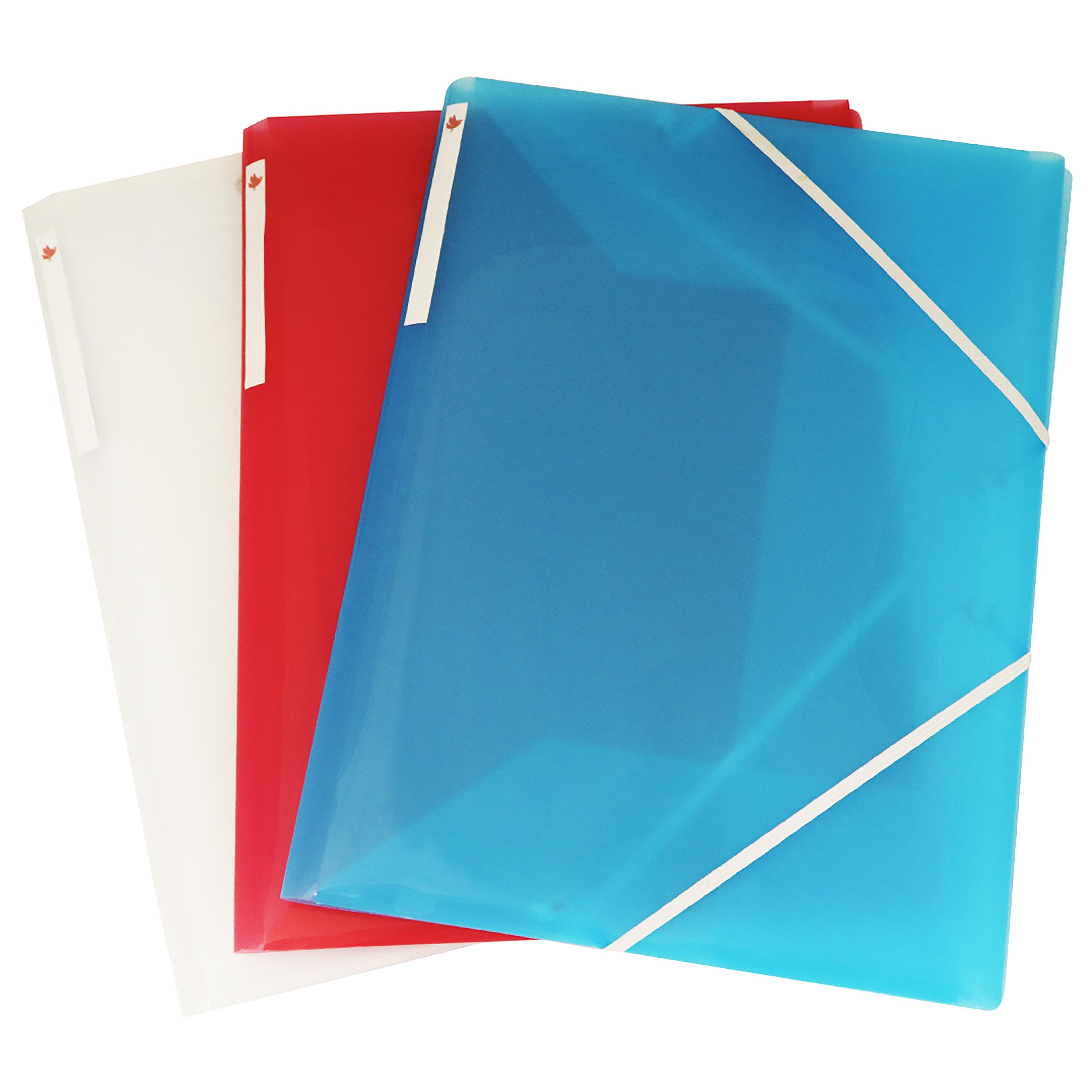 AUCHAN Lot de 3 chemises élastiques Cristal 24x32cm Polypro