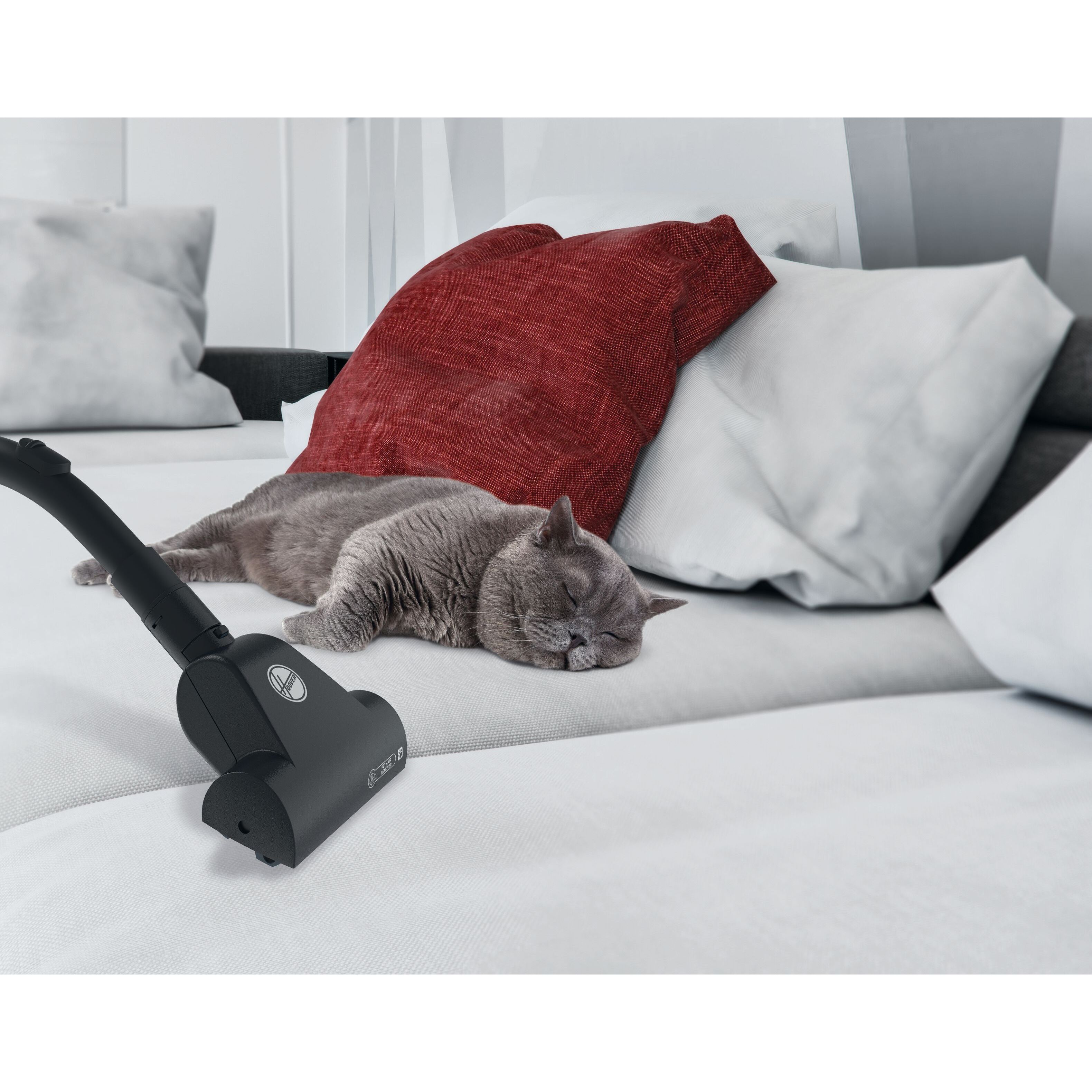 Voir la diapositive 8 : HOOVER Aspirateur traîneau avec sac spécial animaux BV60PET - Bleu