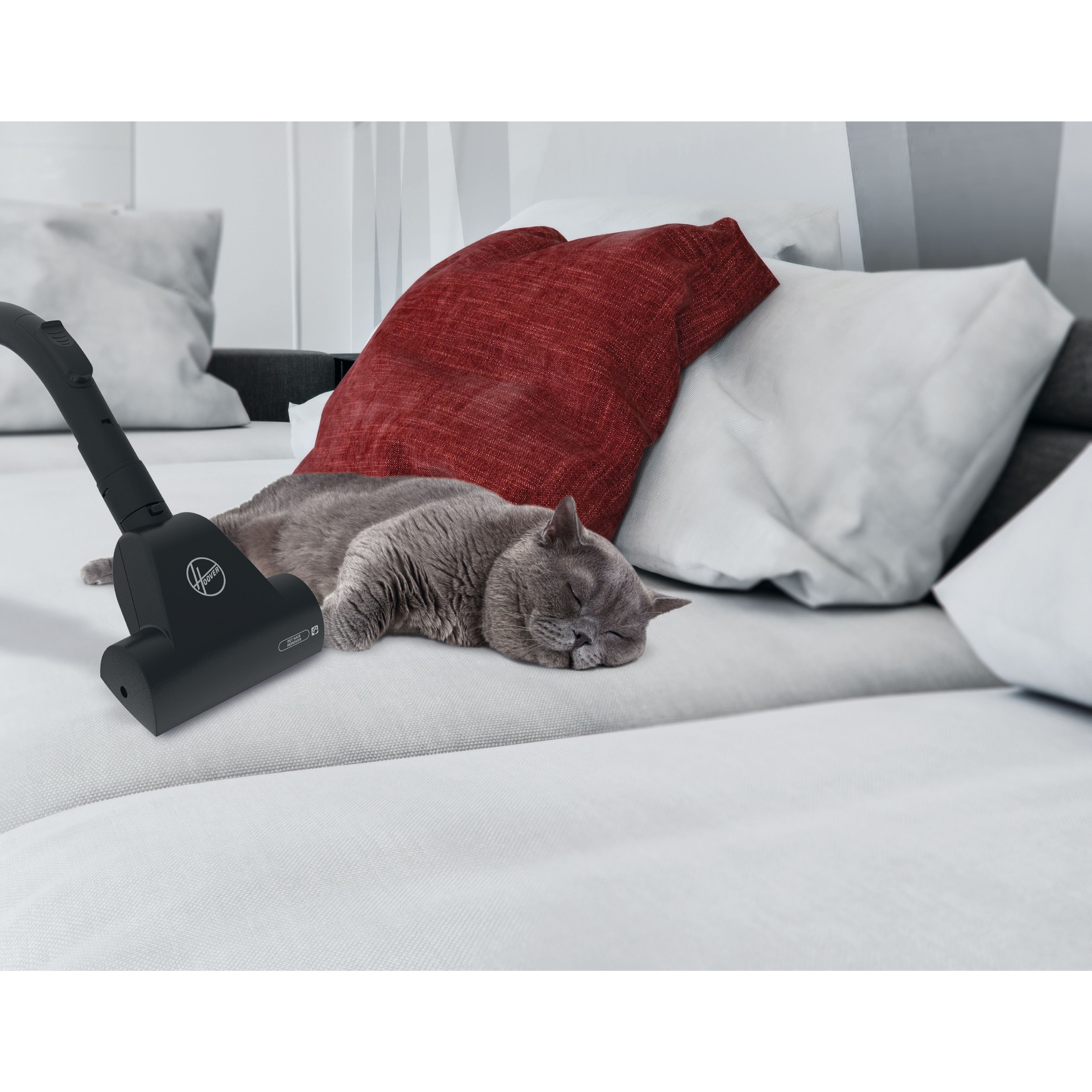 Voir la diapositive 3 : HOOVER Aspirateur traîneau sans sac spécial animaux HP320PET 011 - Gris et noir