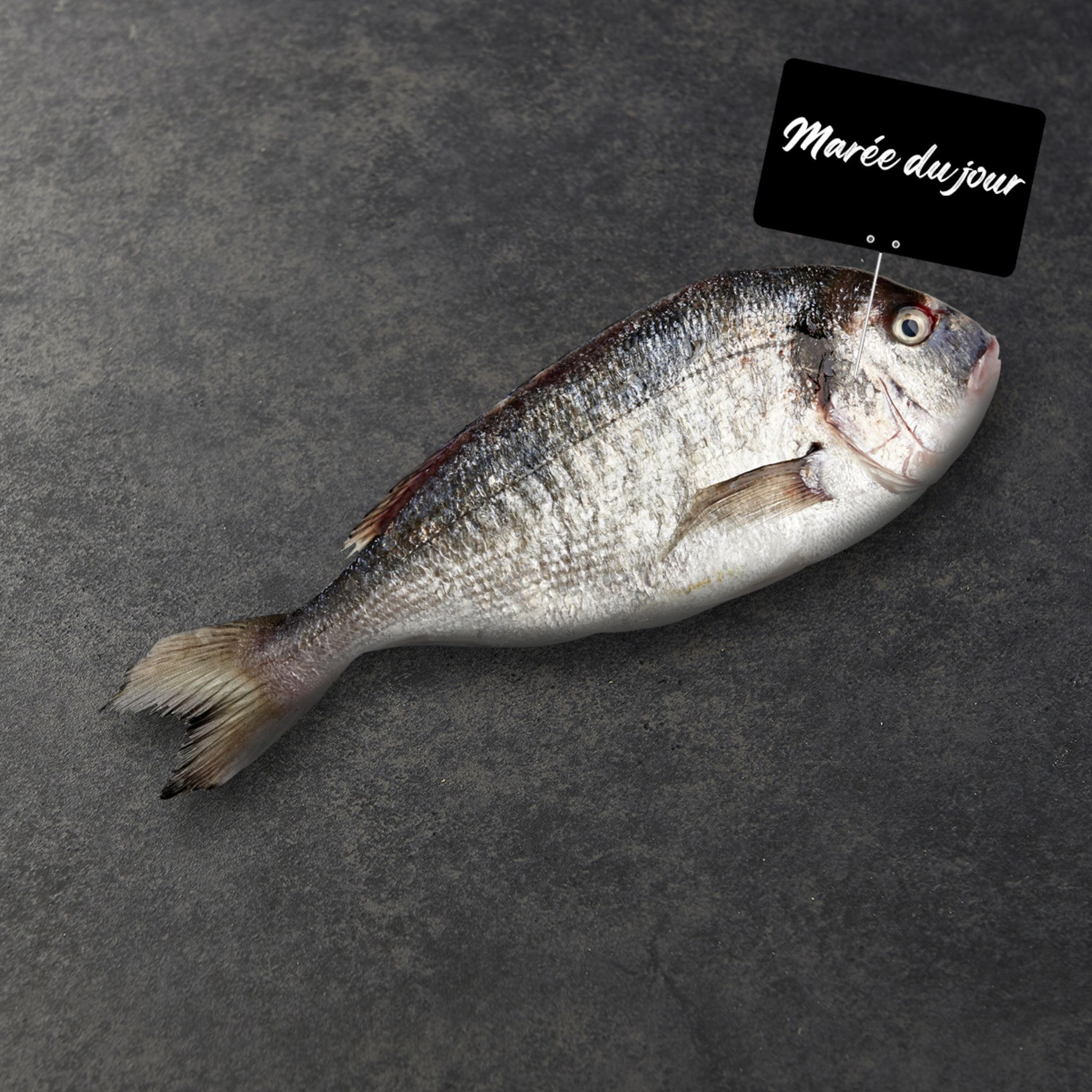Dorade royale 1 pièce 500g
