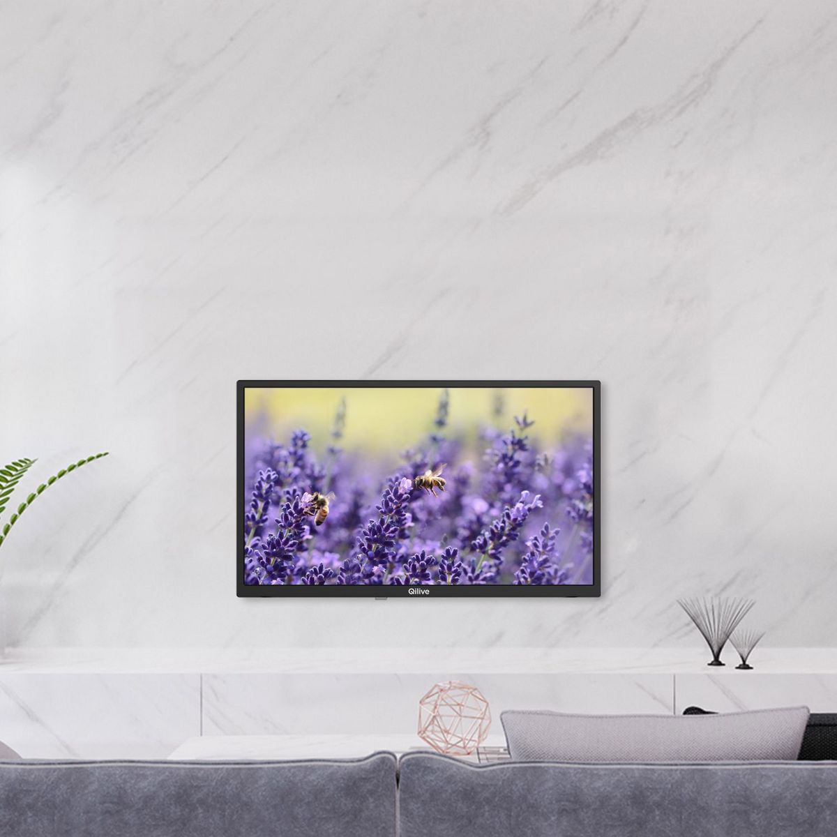 QILIVE Q24HS231B TV DLED HD 60 cm Smart TV