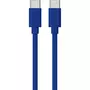 QILIVE Câble USB C/USB C - Bleu