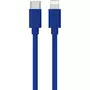 QILIVE Câble USB C/Lightning - Bleu