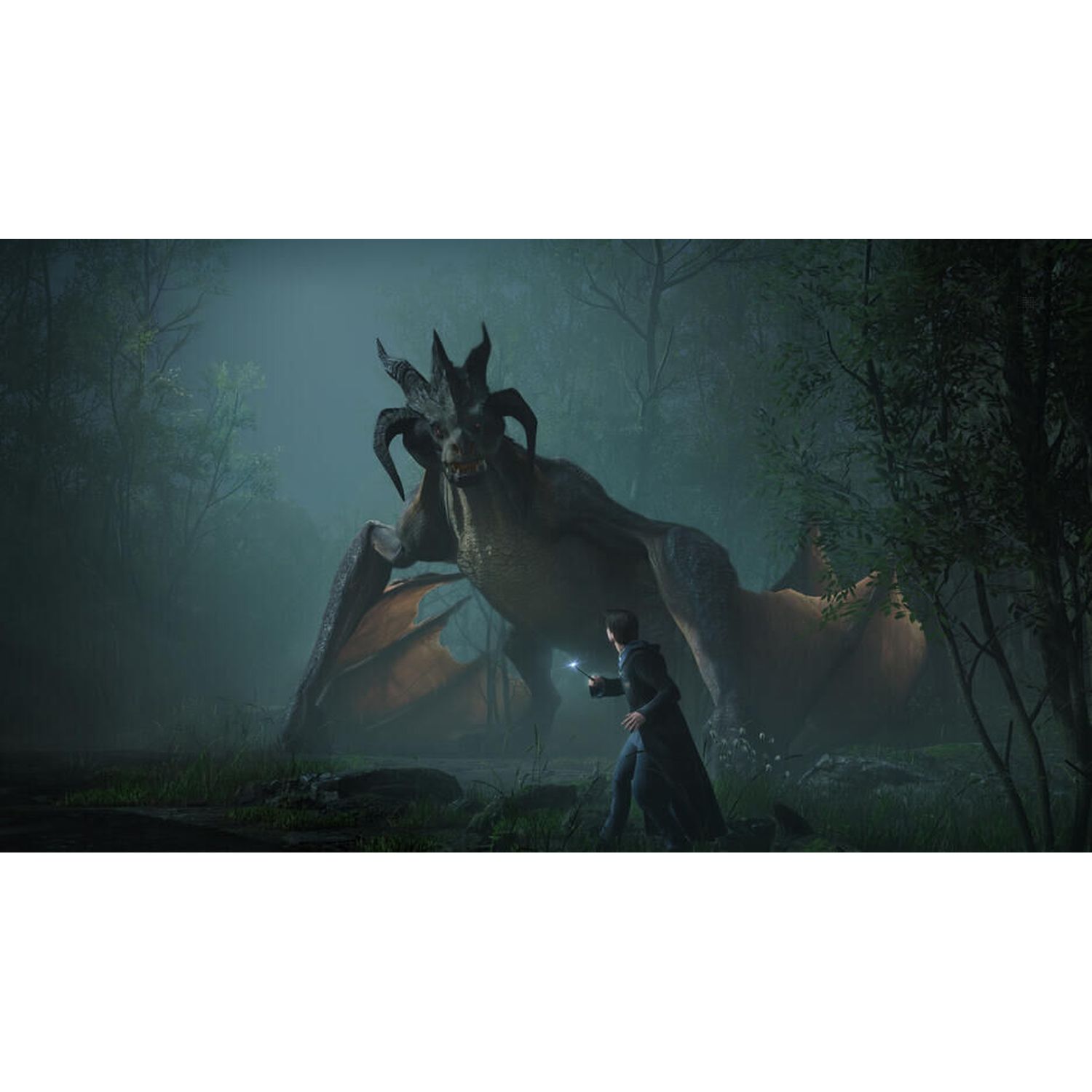 Voir la diapositive 4 : Hogwarts Legacy: L'Héritage de Poudlard Xbox One