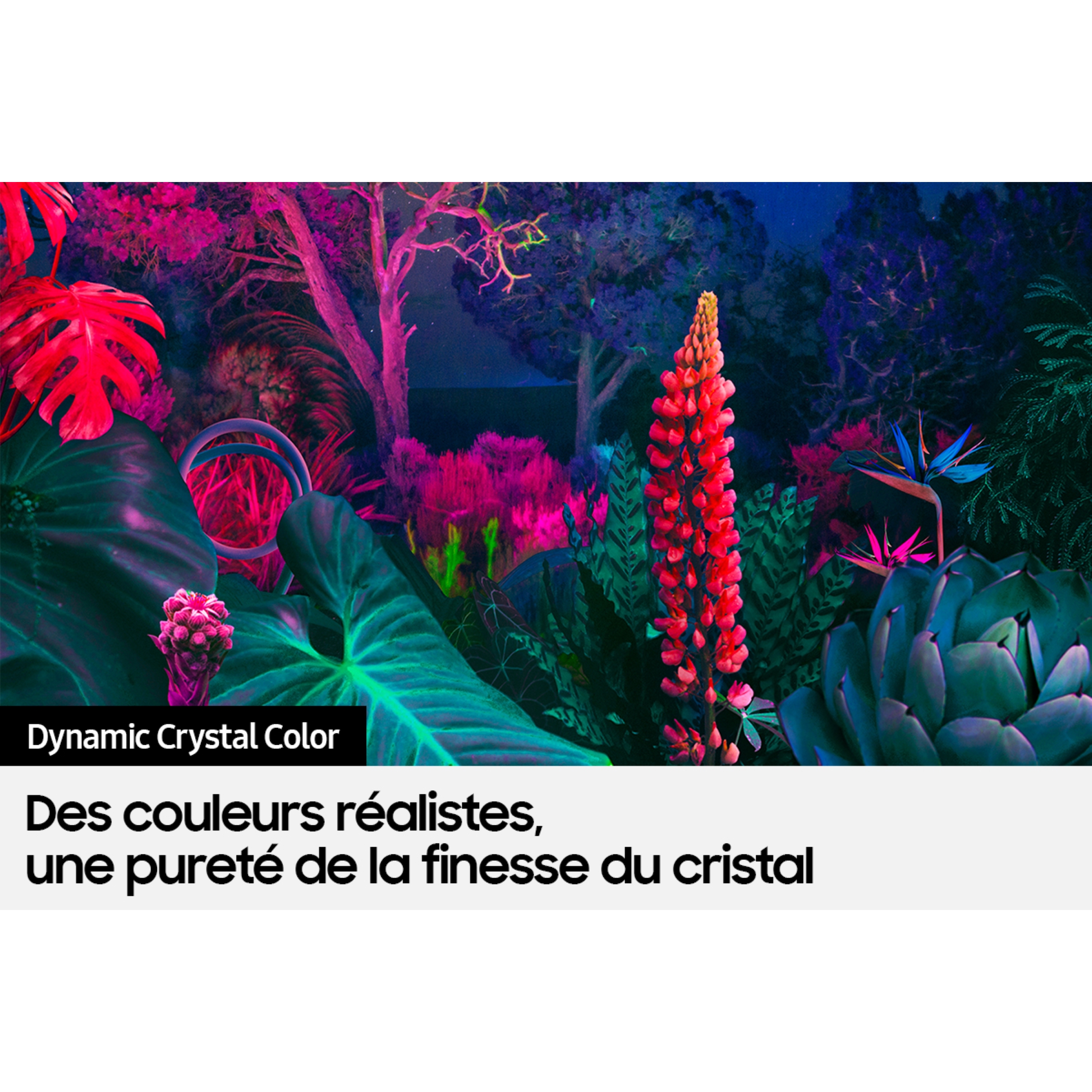 Voir la diapositive 7 : SAMSUNG UE70BU8005KXXC TV LED 4K Ultra HD 176 cm Smart TV