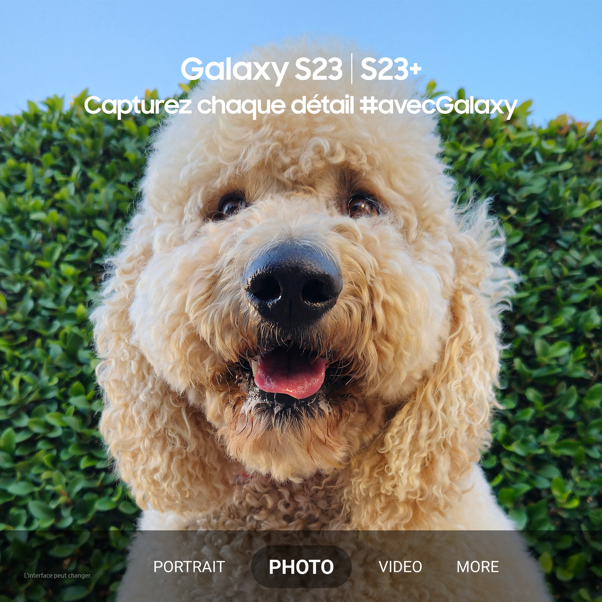 Voir la diapositive 8 : SAMSUNG Galaxy S23+ Smartphone avec Galaxy AI 512Go - Noir