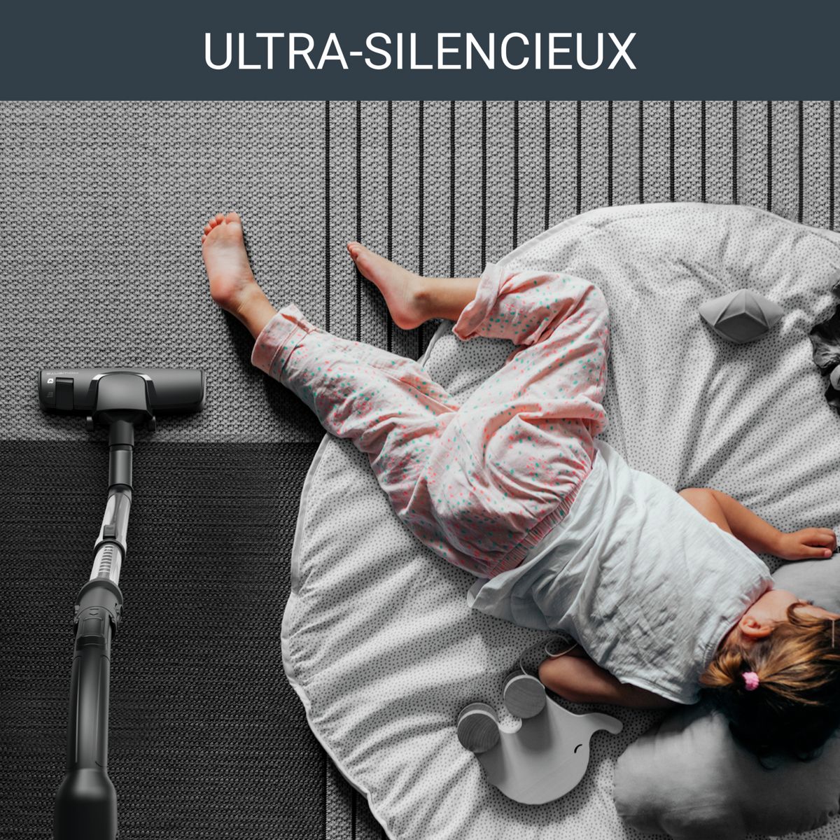 ROWENTA Aspirateur traîneau avec sac RO6164EA - Gris