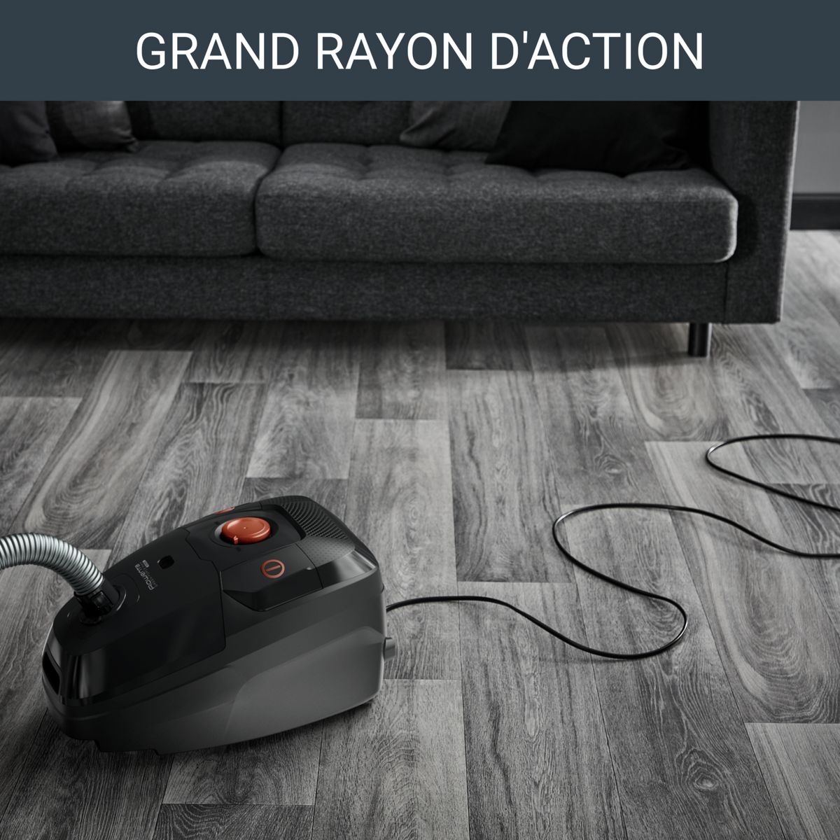 ROWENTA Aspirateur traîneau avec sac RO6164EA - Gris
