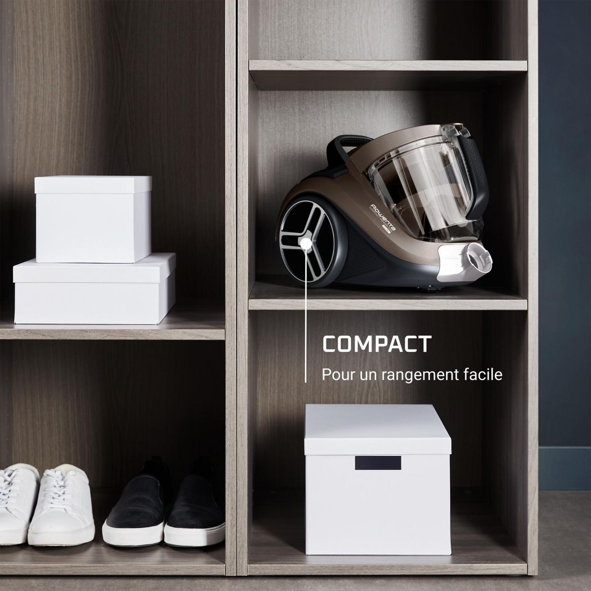 ROWENTA Aspirateur traîneau sans sac RO4B30EA - Gris fumé