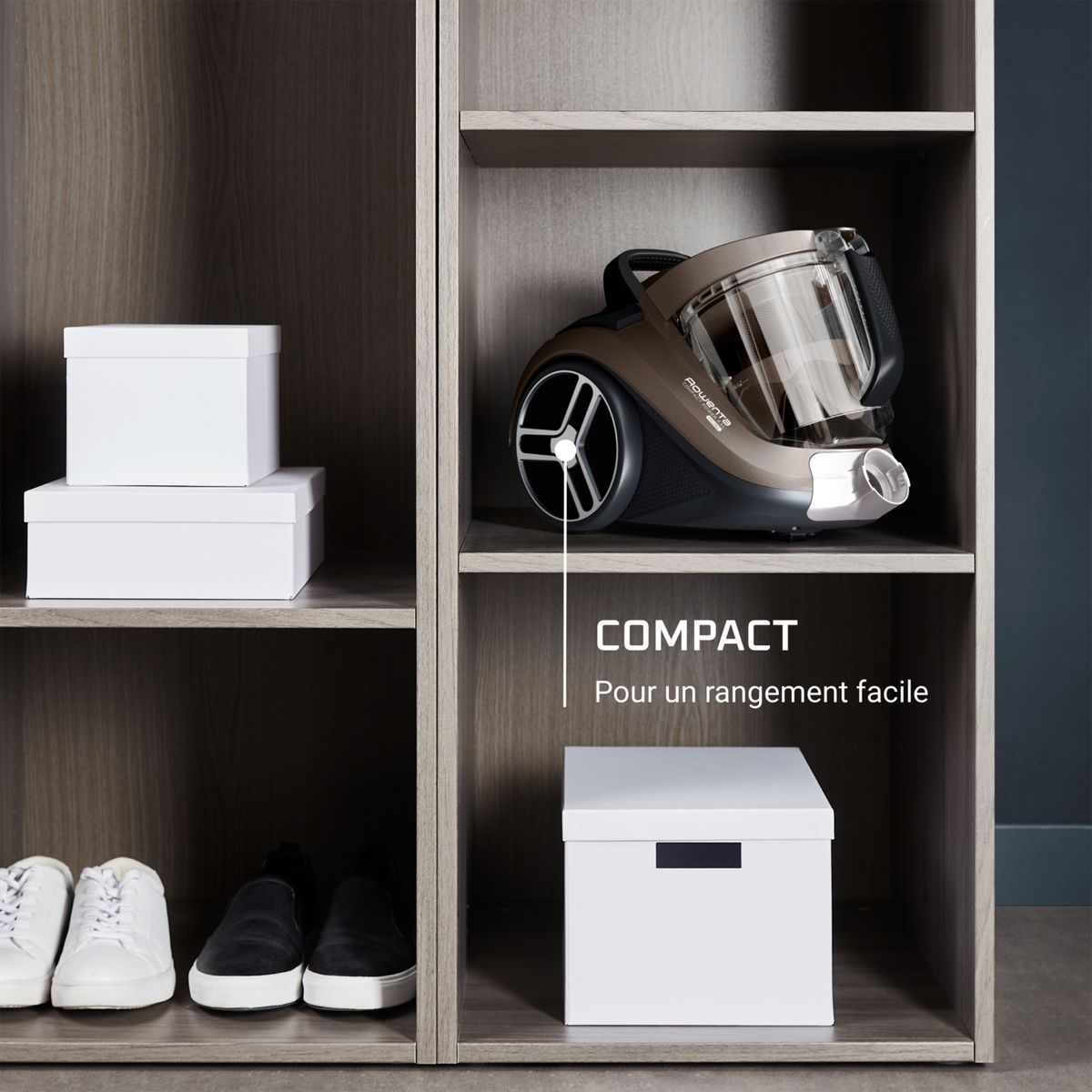 ROWENTA Aspirateur traîneau sans sac RO4B30EA - Gris fumé