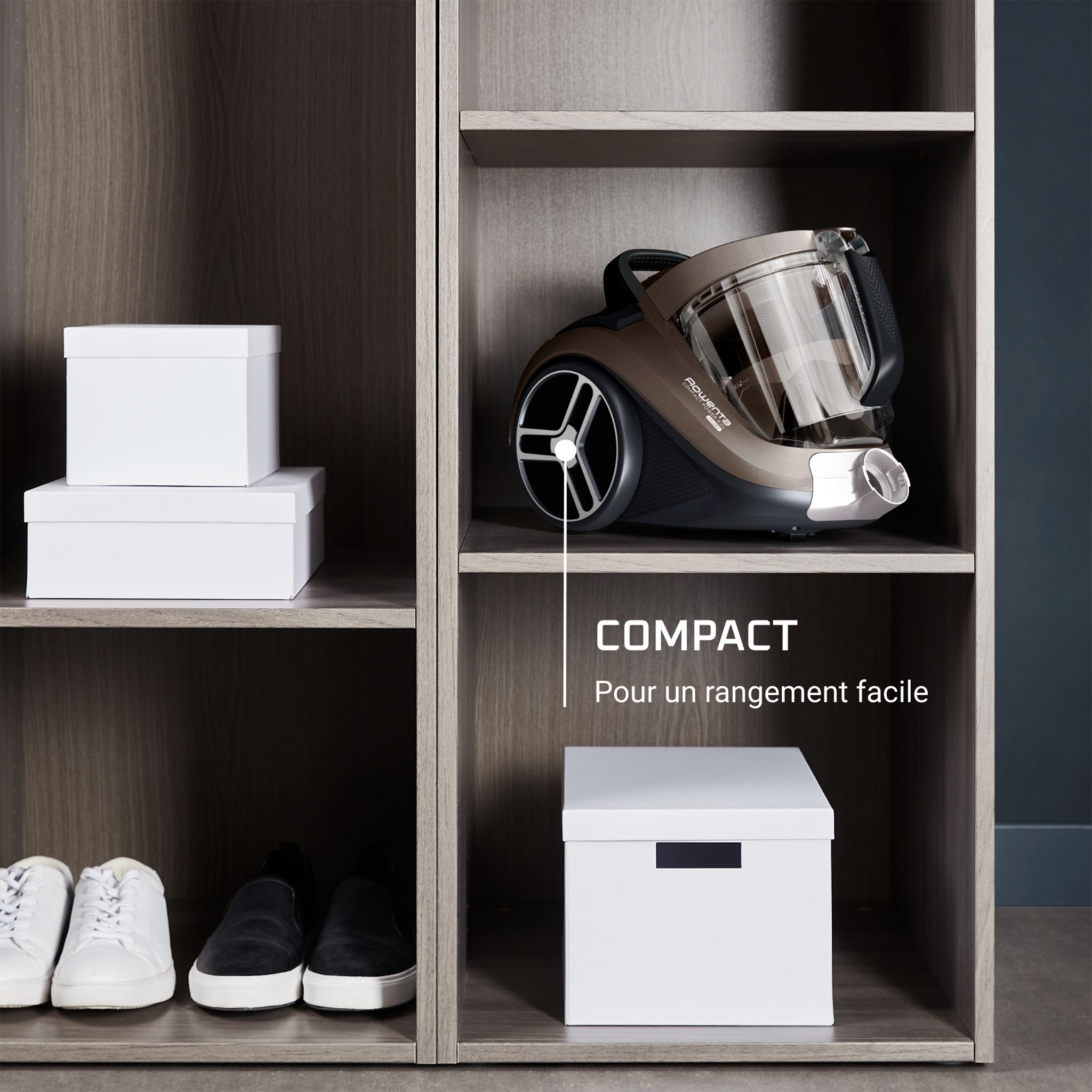 Voir la diapositive 10 : ROWENTA Aspirateur traîneau sans sac RO4B30EA - Gris fumé