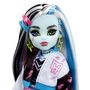 Voir la diapositive 3 : MATTEL Poupée Frankie Stein et animal Monster High