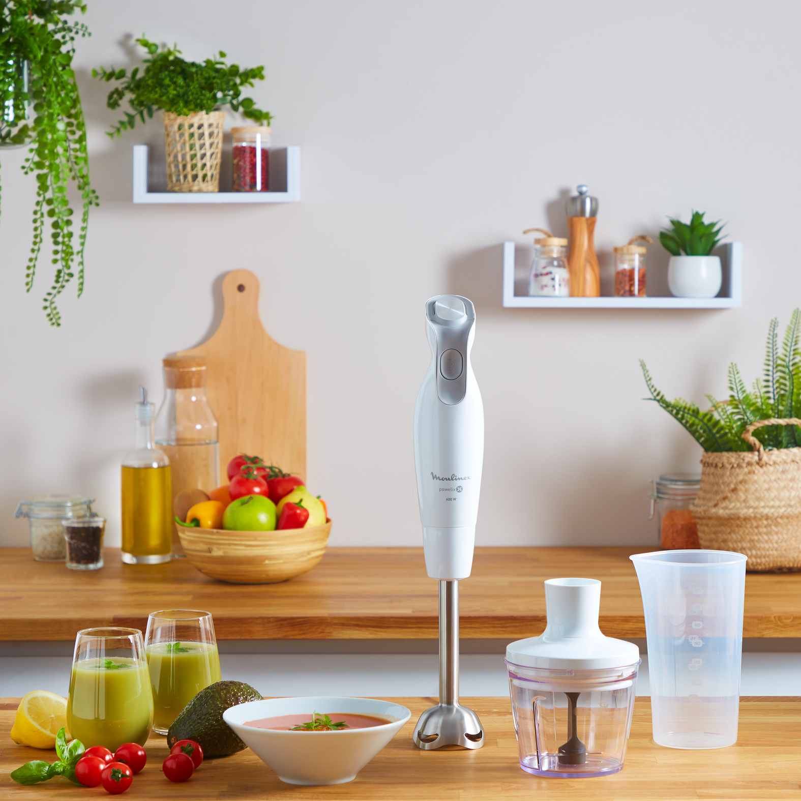 Voir la diapositive 6 : MOULINEX Mixeur plongeant Daily chef DD552110 - Blanc