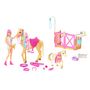 Voir la diapositive 12 : MATTEL Coffret Poupée Barbie Toilettage Des Chevaux