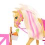 Voir la diapositive 6 : MATTEL Coffret Poupée Barbie Toilettage Des Chevaux