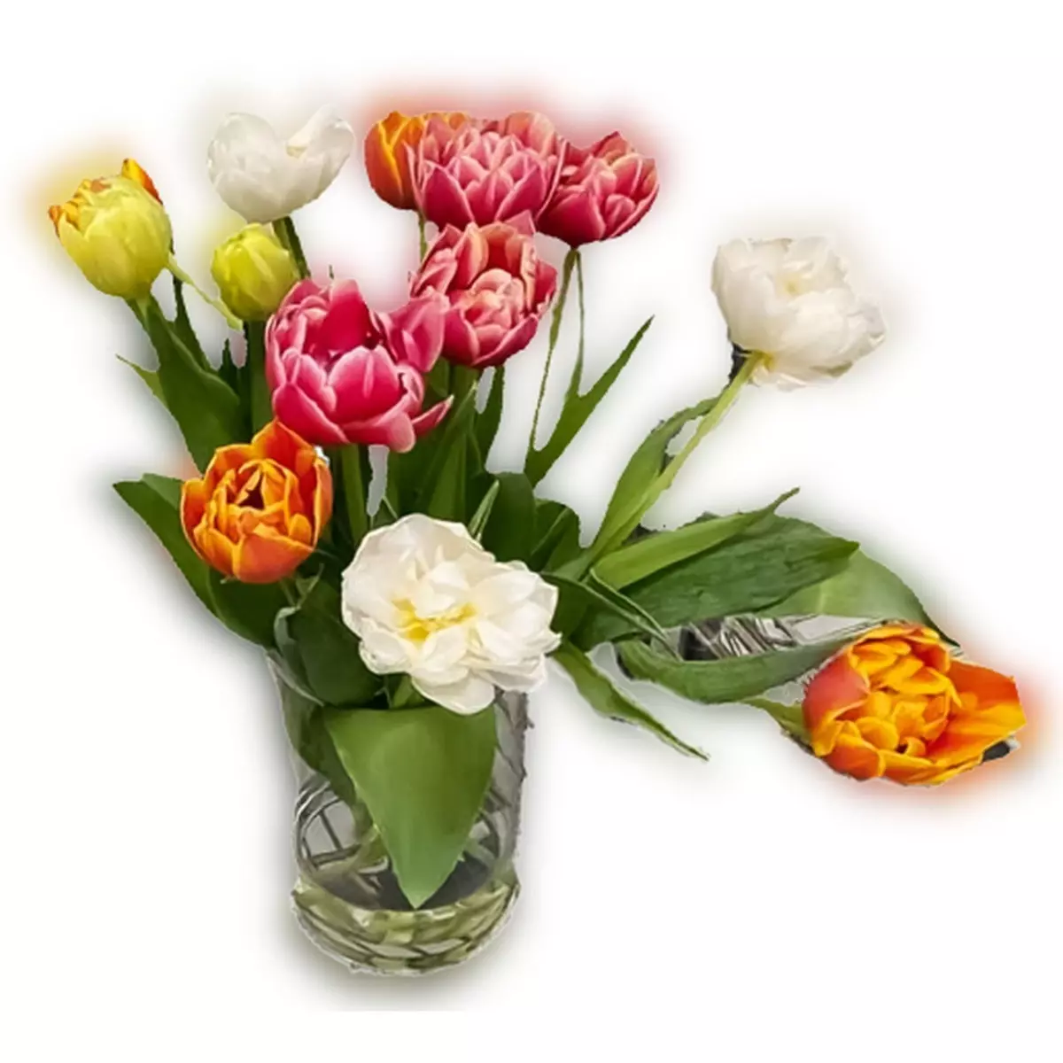 FLEURS Bouquet de 14 tulipes double fleurs 1 bouquet