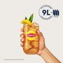 Voir la diapositive 5 : SODASTREAM Concentré pour soda Green Ice Tea Menthe