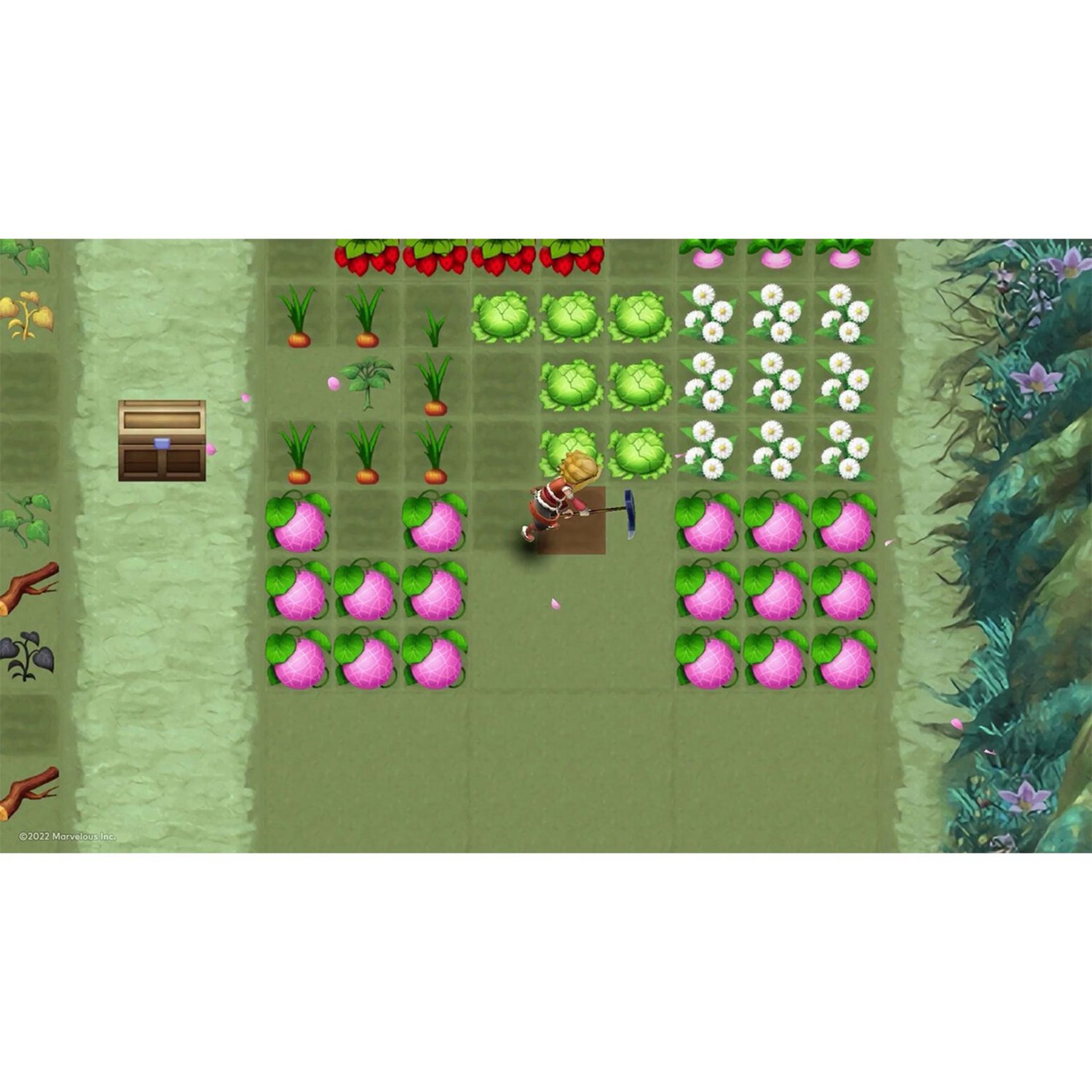 Voir la diapositive 4 : Rune Factory 3 Special - Golden Memories Edition Nintendo Switch