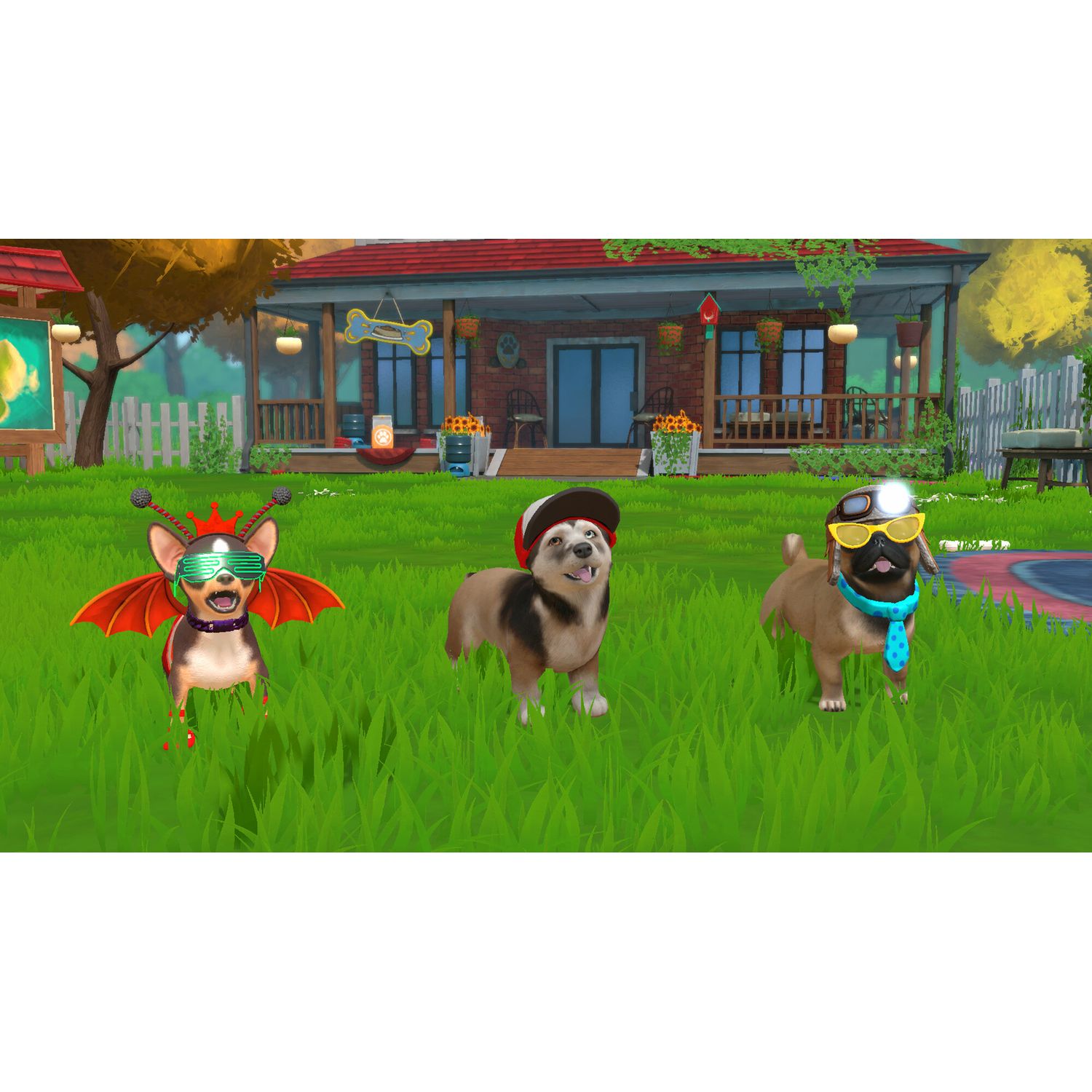 Voir la diapositive 2 : Little Friends: Puppy Island Nintendo Switch