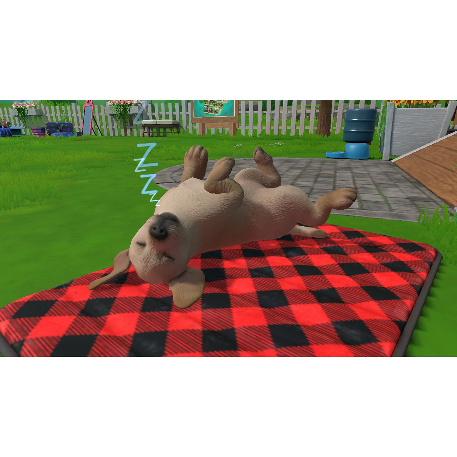 Voir la diapositive 3 : Little Friends: Puppy Island Nintendo Switch