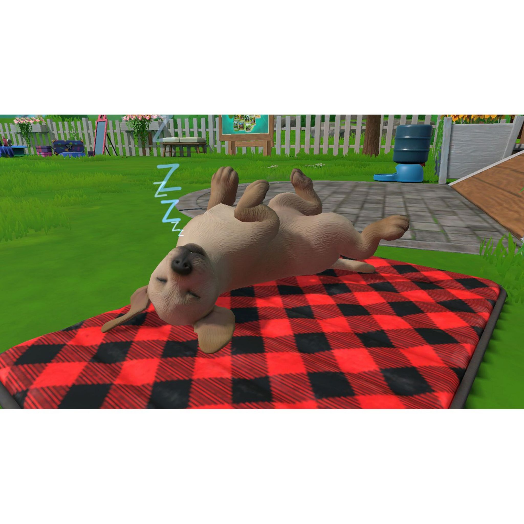 Voir la diapositive 3 : Little Friends: Puppy Island Nintendo Switch