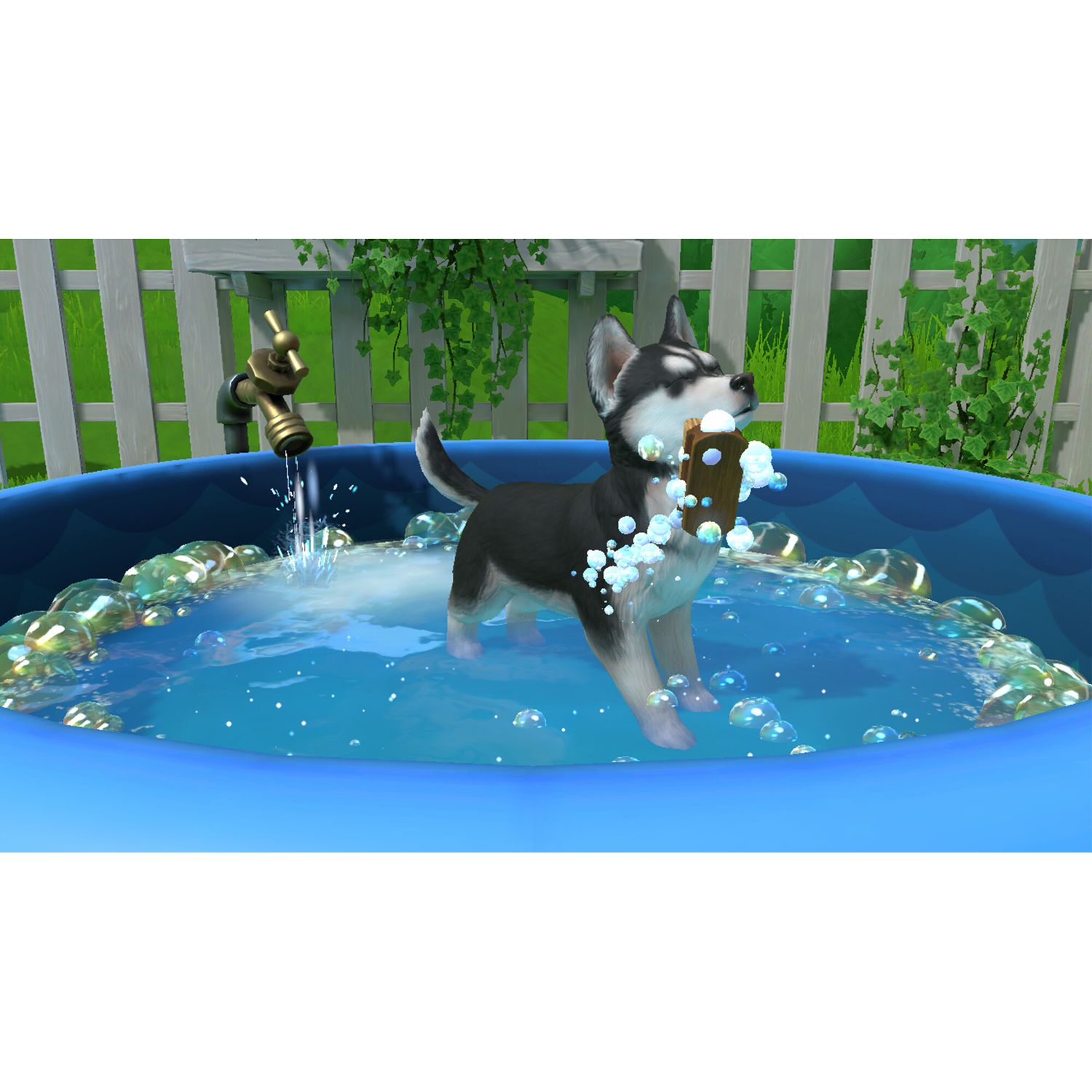 Voir la diapositive 5 : Little Friends: Puppy Island Nintendo Switch