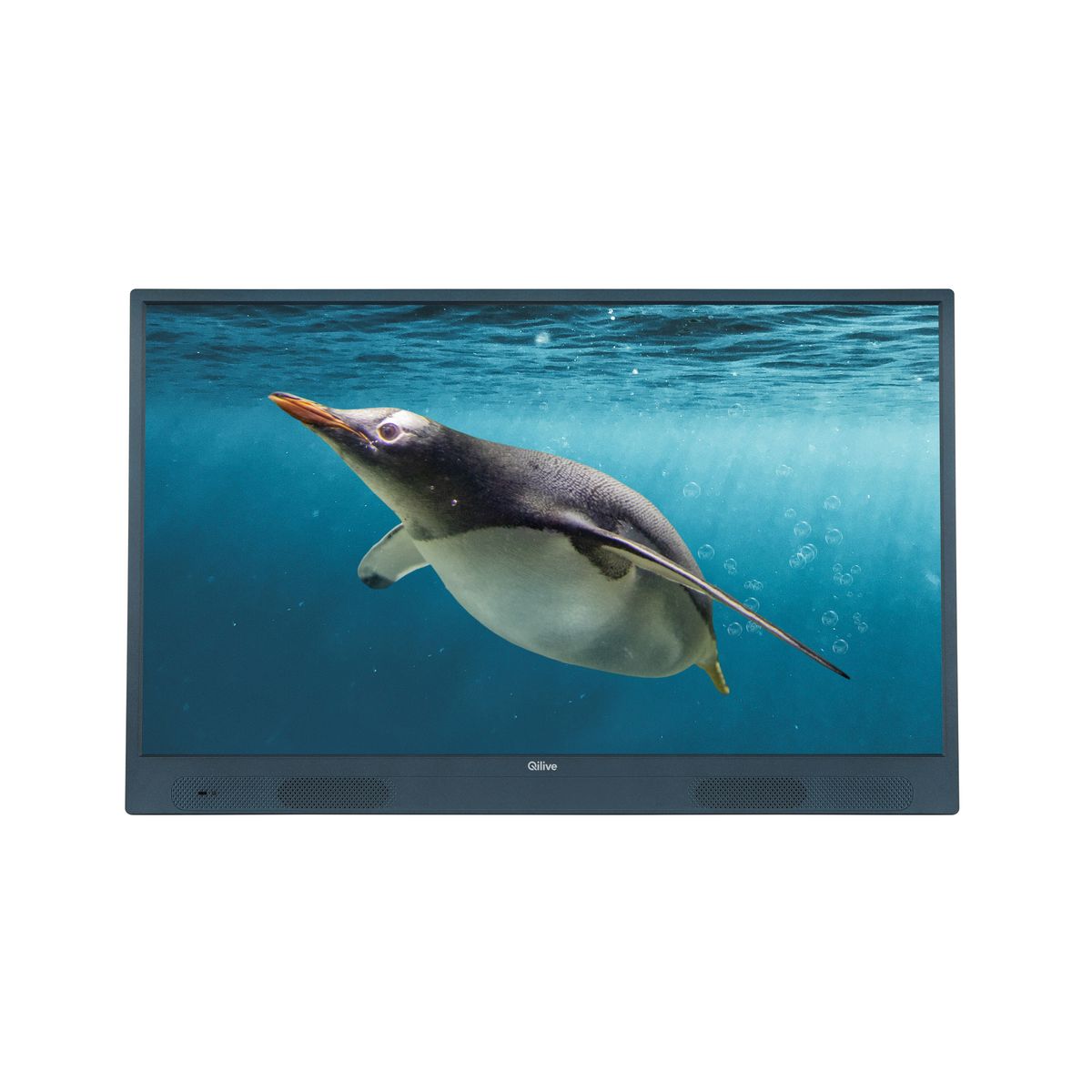 QILIVE Q32HA232GBAT TV sur batterie DLED HD 80 cm ANDROID TV