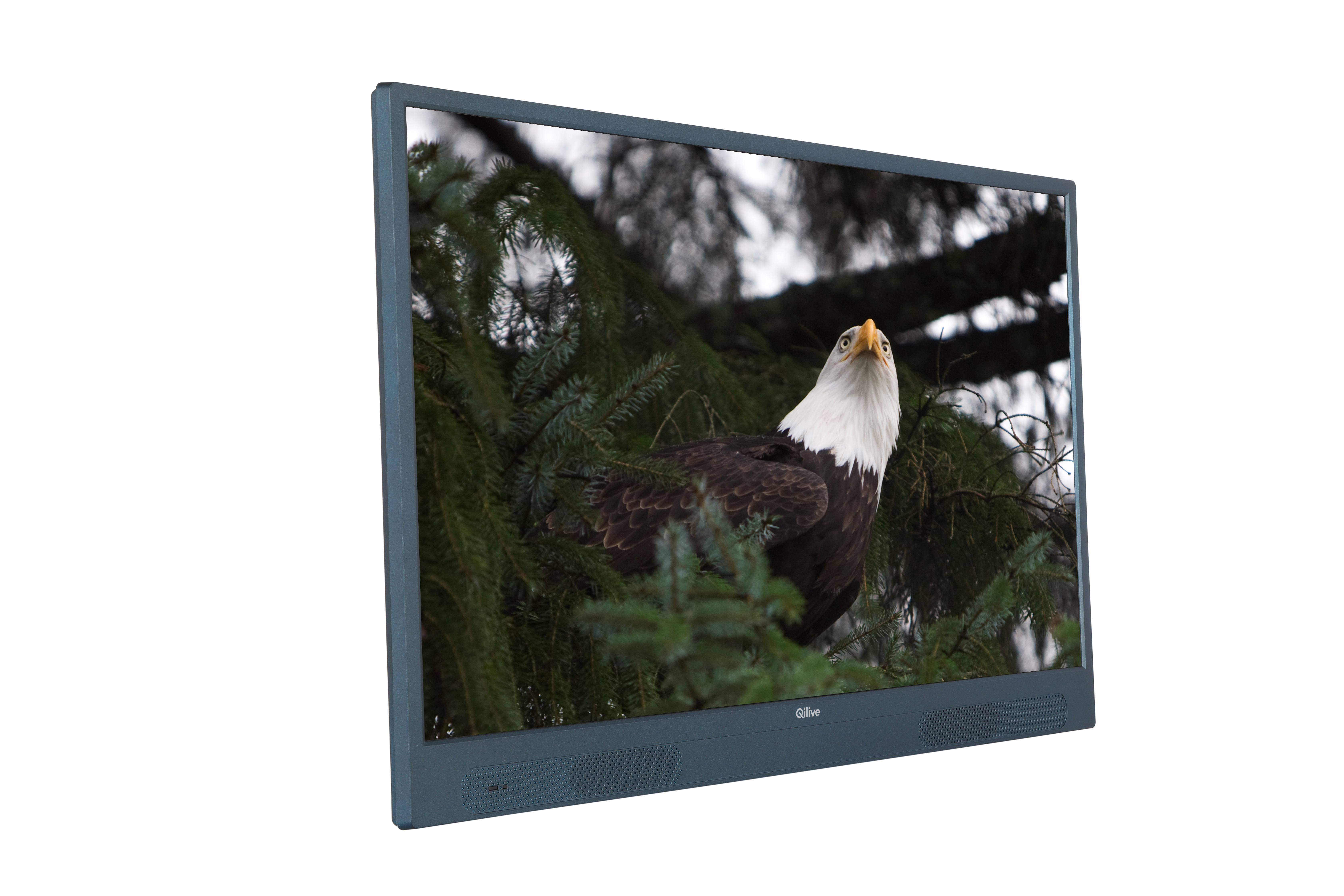 Voir la diapositive 5 : QILIVE Q32HA232GBAT TV sur batterie DLED HD 80 cm ANDROID TV