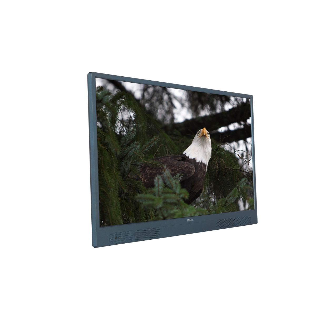 QILIVE Q32HA232GBAT TV sur batterie DLED HD 80 cm ANDROID TV