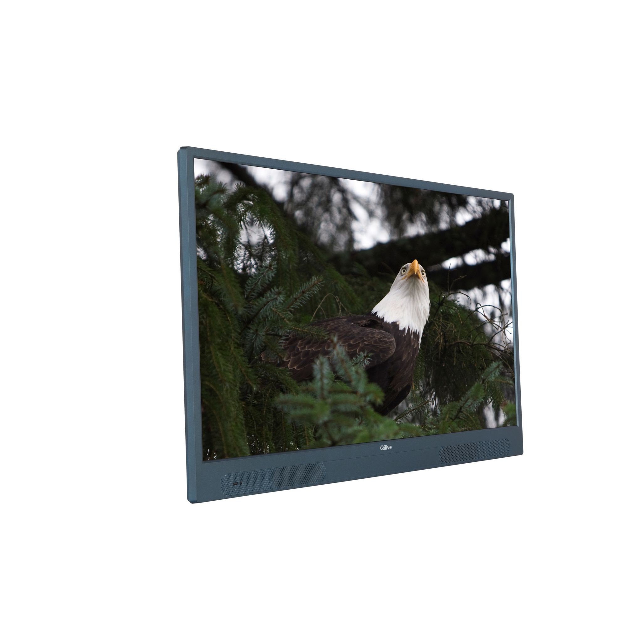 Voir la diapositive 5 : QILIVE Q32HA232GBAT TV sur batterie DLED HD 80 cm ANDROID TV