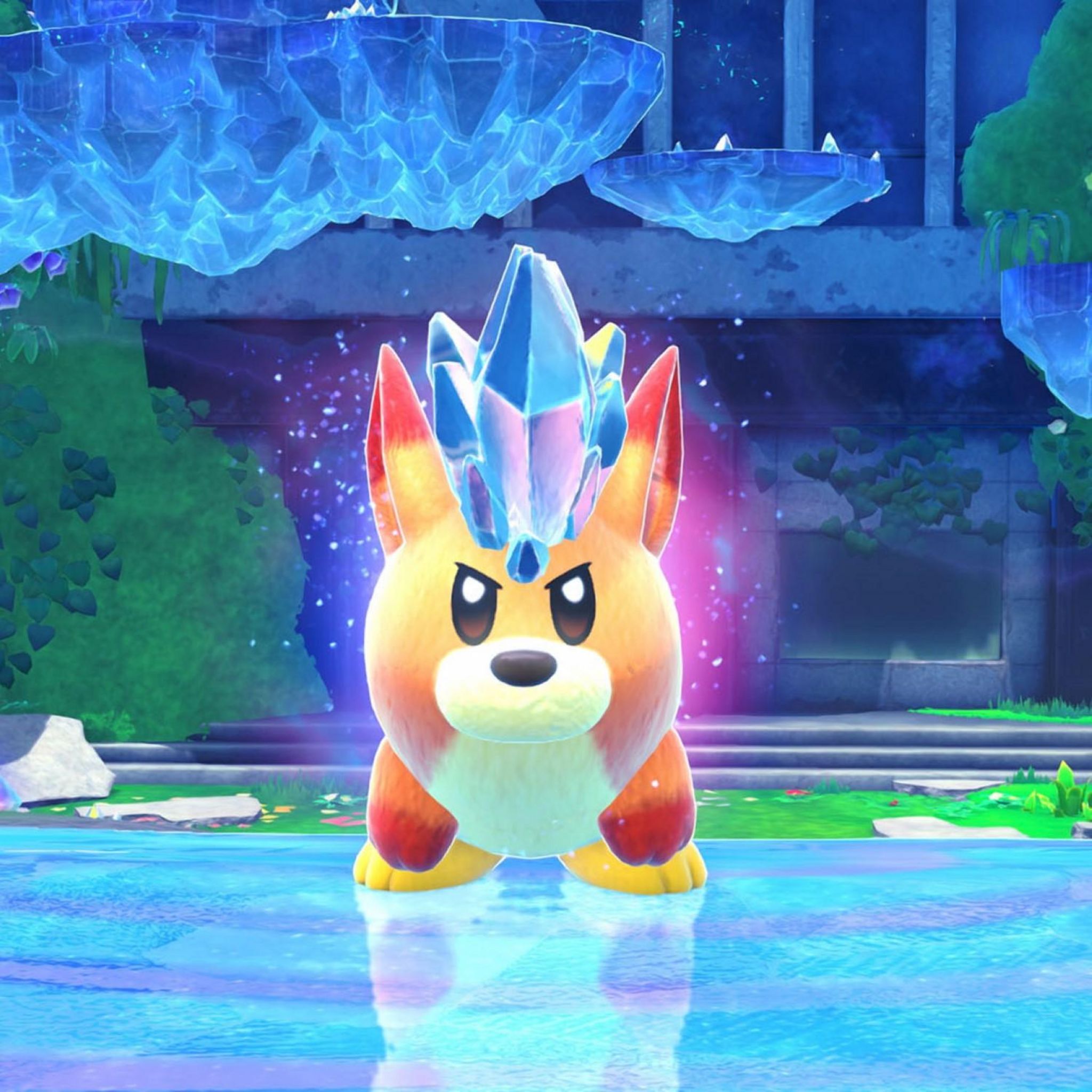 Voir la diapositive 5 : NINTENDO Kirby Le Monde Oublié Nintendo Switch 2 Edition + Le Pays des Étoiles Filantes