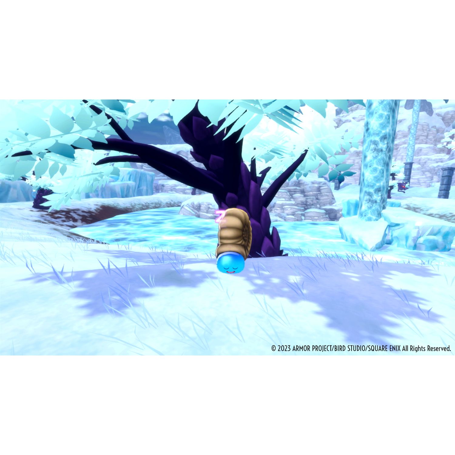 Voir la diapositive 7 : Dragon Quest Monsters: Le Prince des ombres Nintendo Switch