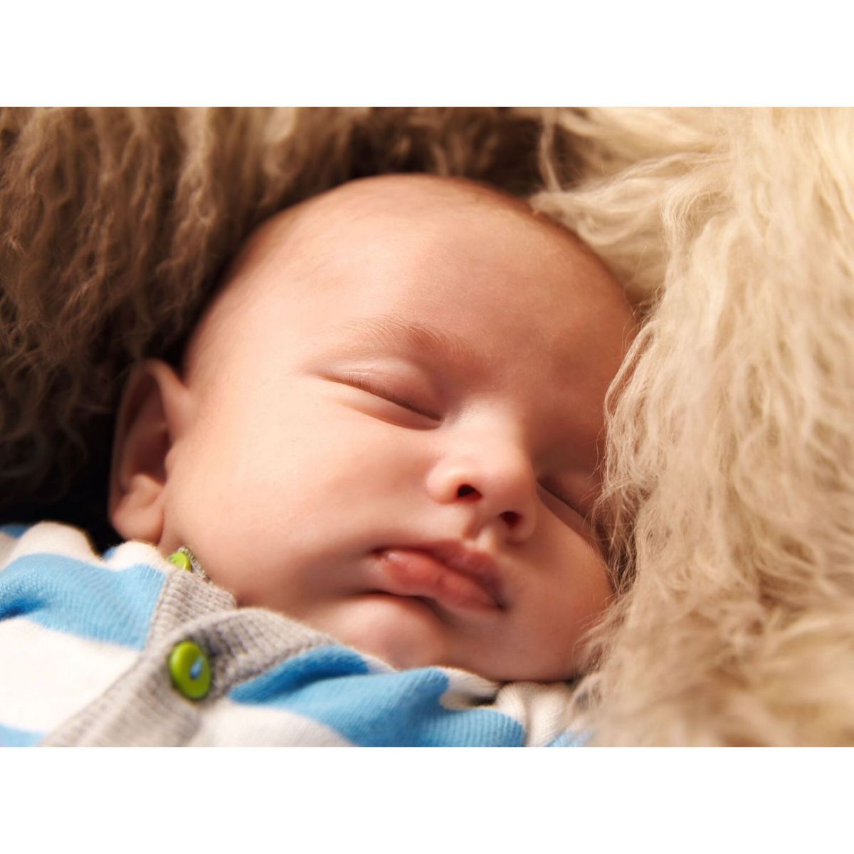 MIELE Aspirateur traîneau avec sac COMPLETE C3 - Gris