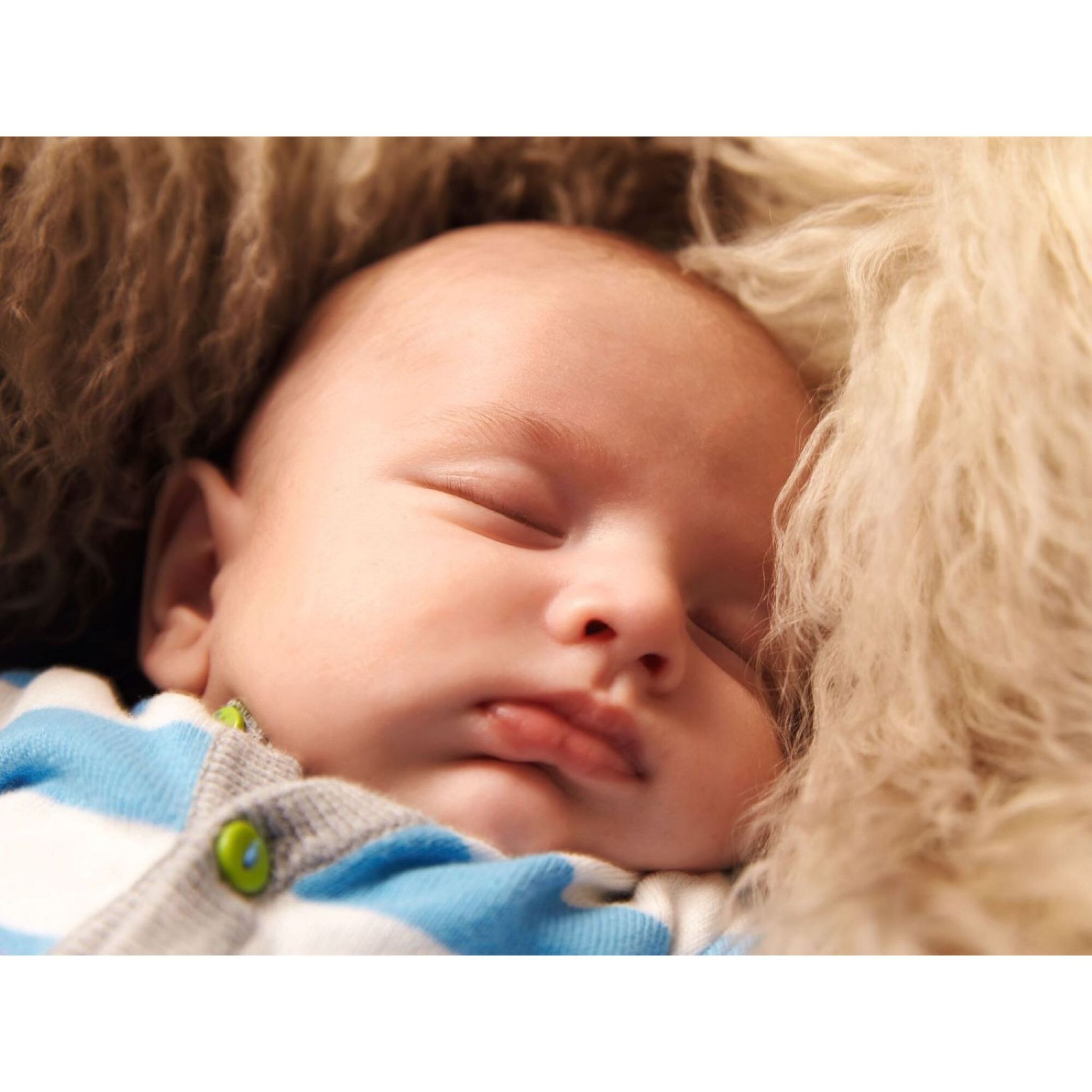 Voir la diapositive 2 : MIELE Aspirateur traîneau avec sac COMPLETE C3 - Gris