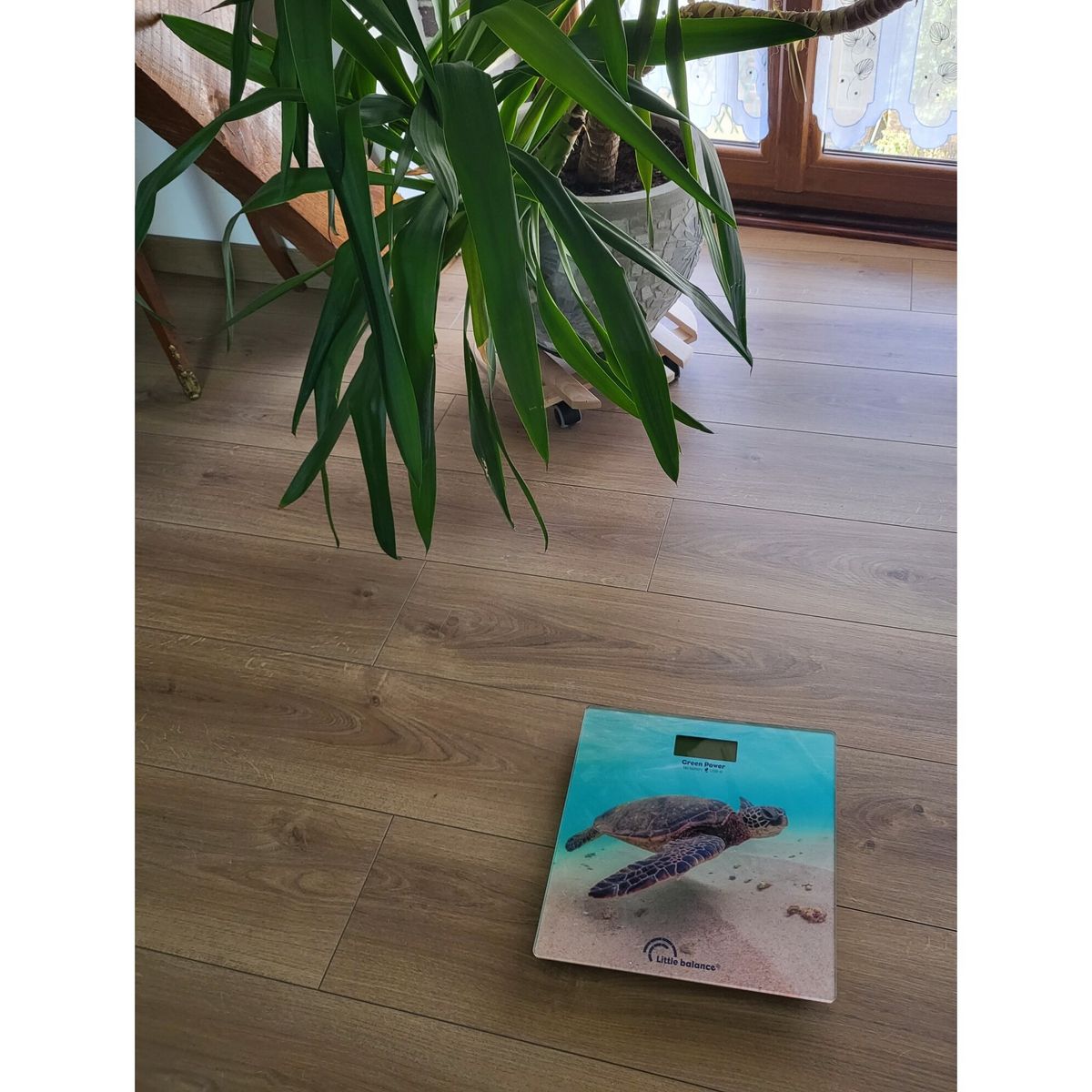 LITTLE BALANCE Pèse personne 8653 - Bleu