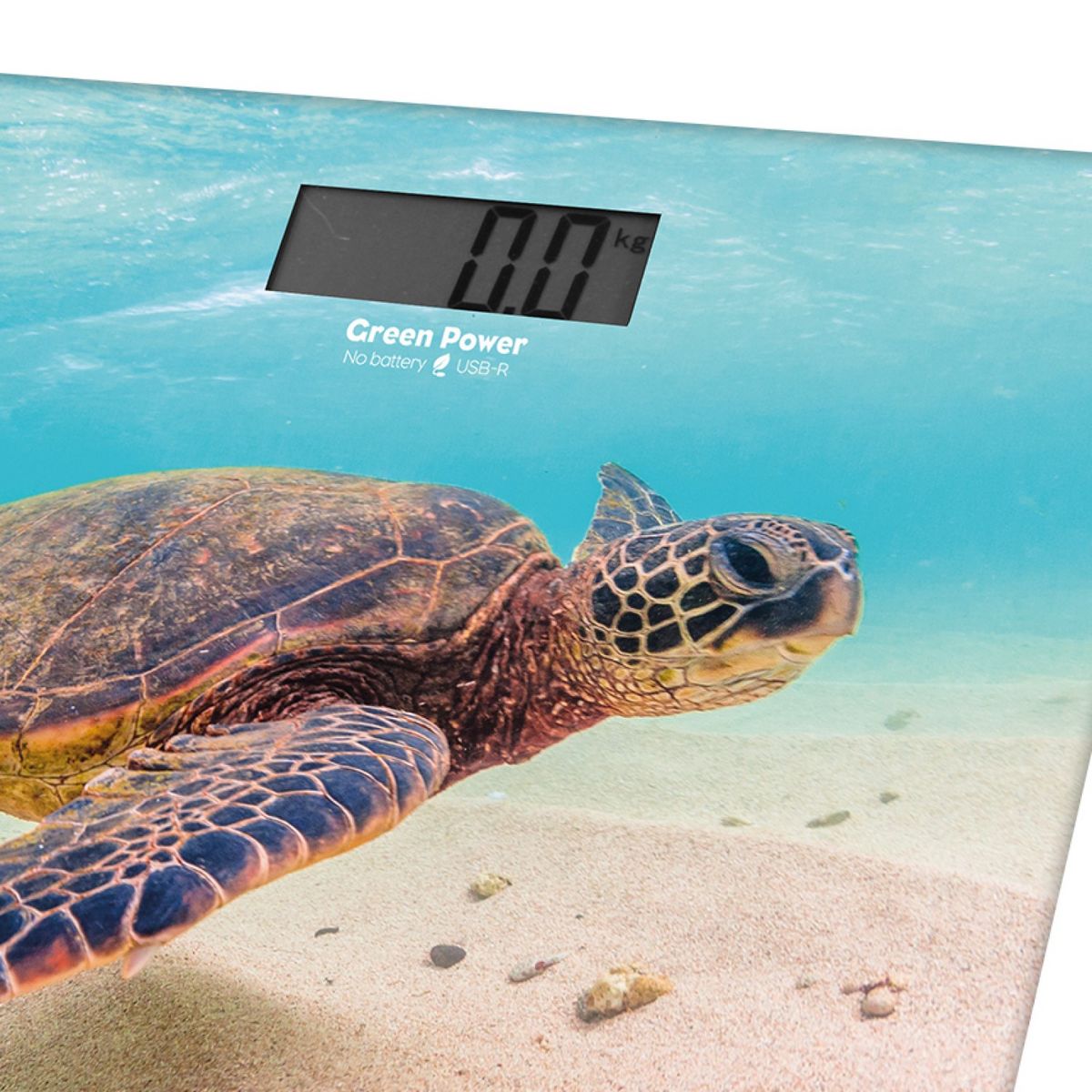 LITTLE BALANCE Pèse personne 8653 - Bleu