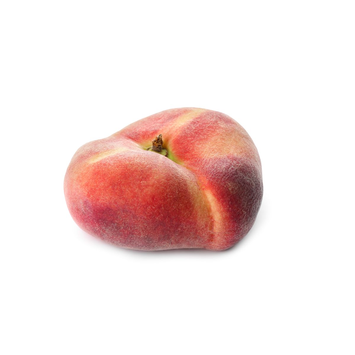 Pêche plate 1 pièce