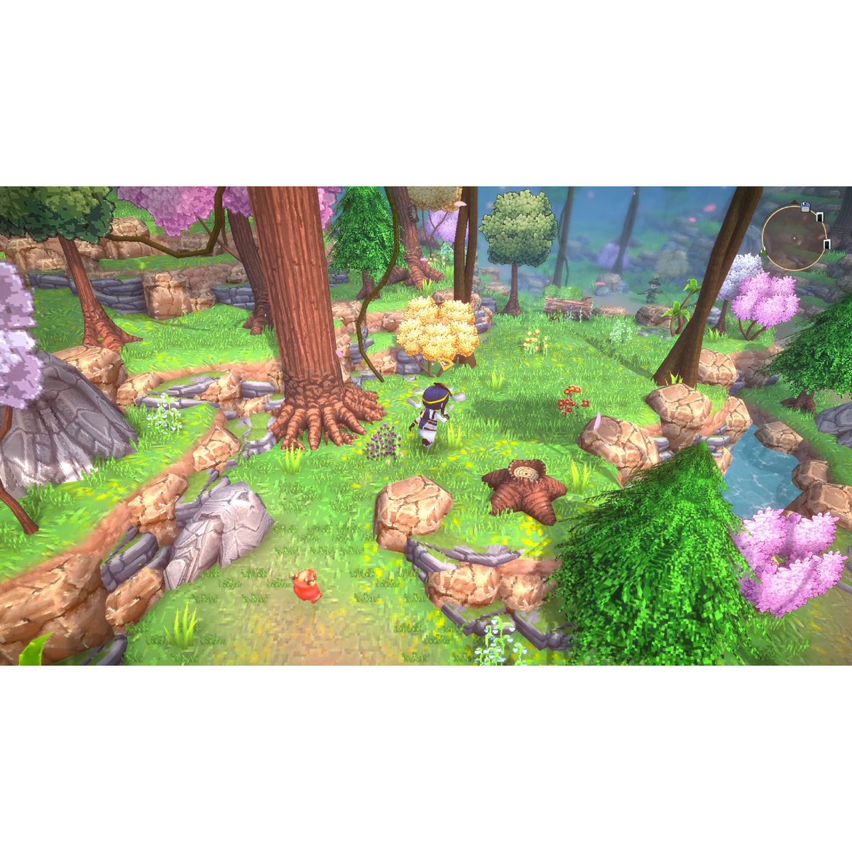 Dolphin Spirit: Mission Océan Nintendo Switch