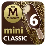 MAGNUM Mini bâtonnet glacé vanille chocolat 6 pièces 249g