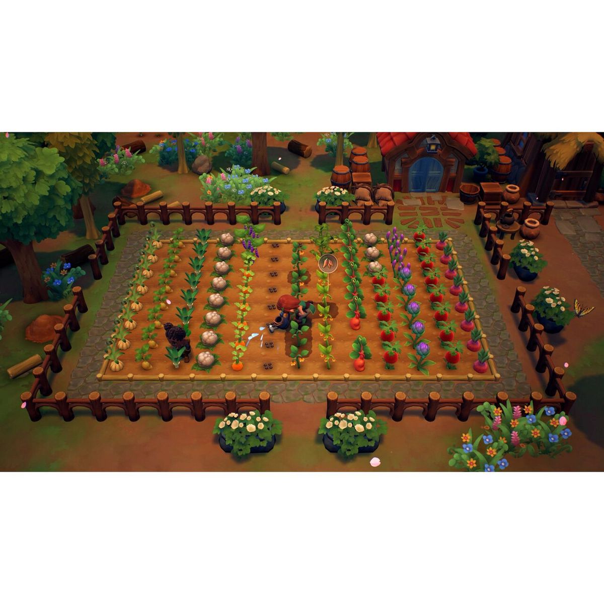 Fae Farm Nintendo Switch