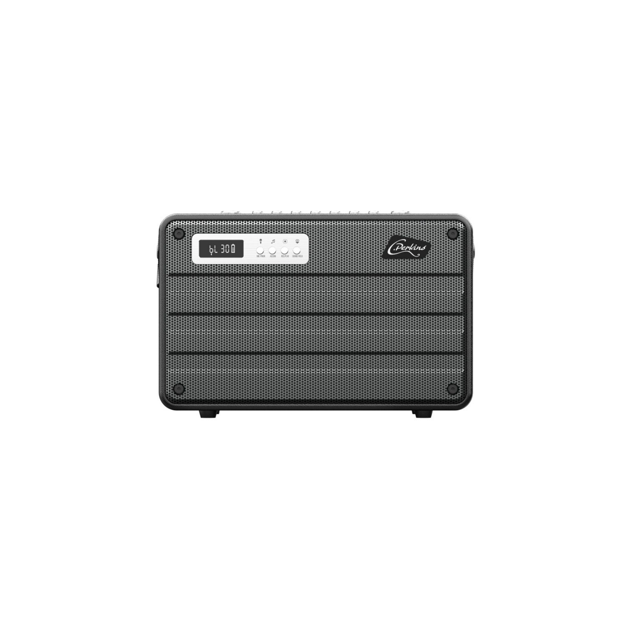 Voir la diapositive 2 : C.PERKINS Enceinte portable Roady FLi - Noir