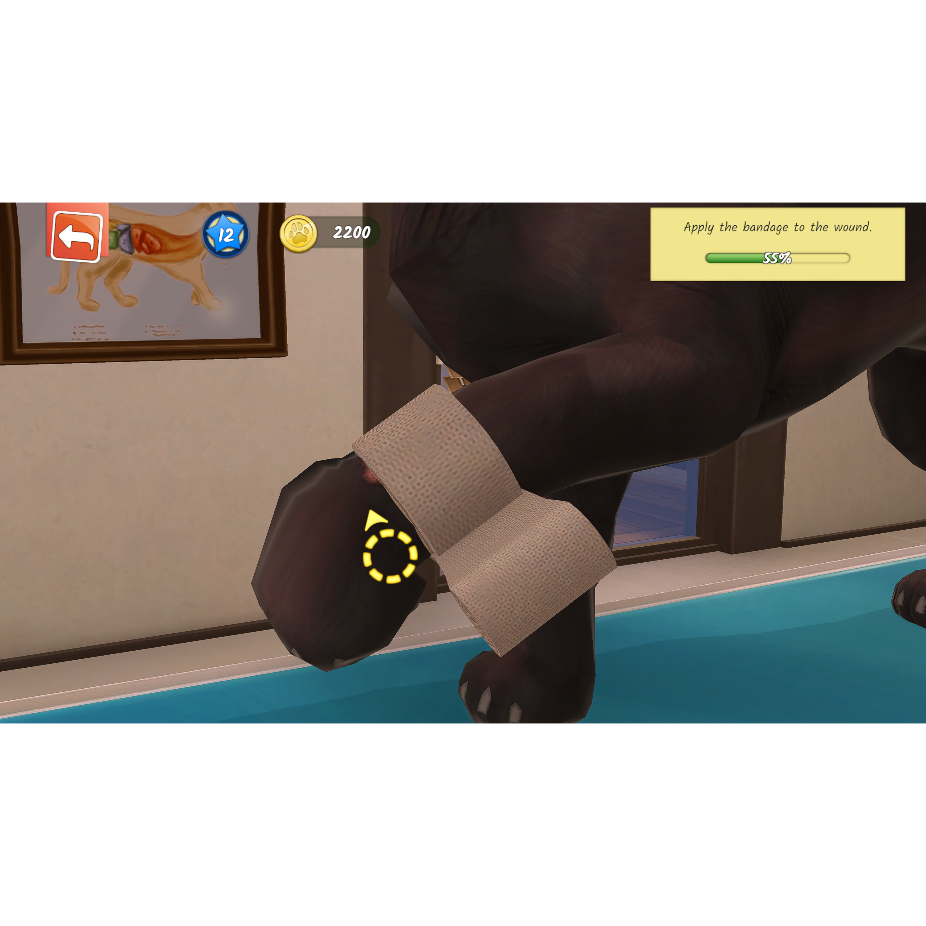 Voir la diapositive 6 : Animal Hospital Nintendo Switch