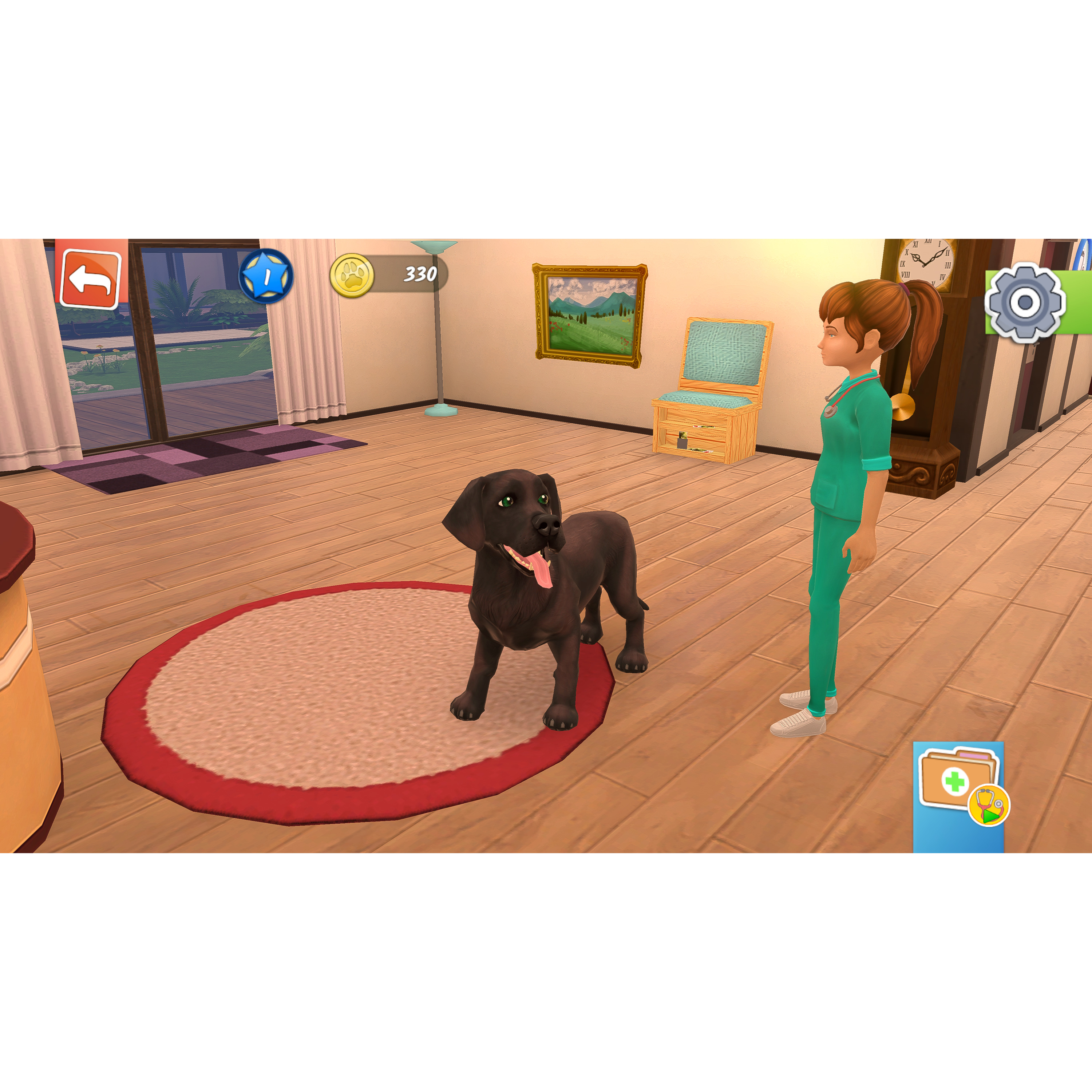 Voir la diapositive 7 : Animal Hospital Nintendo Switch