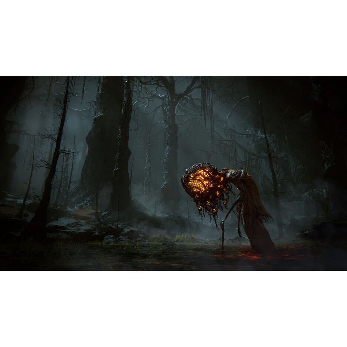 Elden Ring: Shadow of the Erdtree - Collector's Edition Xbox Series X