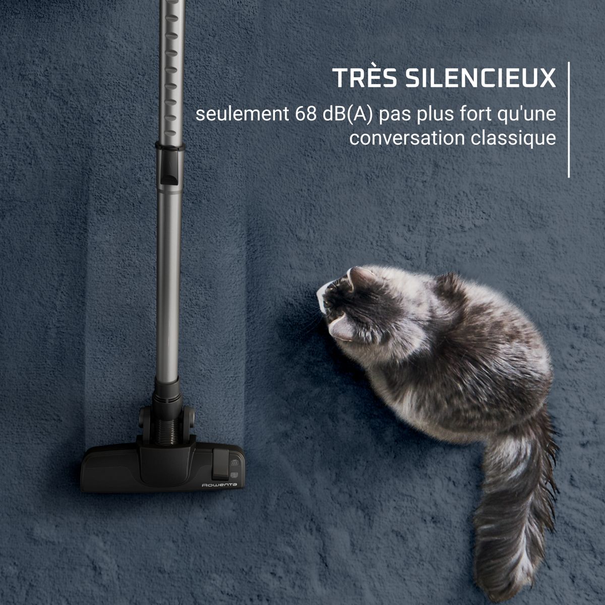 ROWENTA Aspirateur traîneau sans sac RO7C36EA - Noir