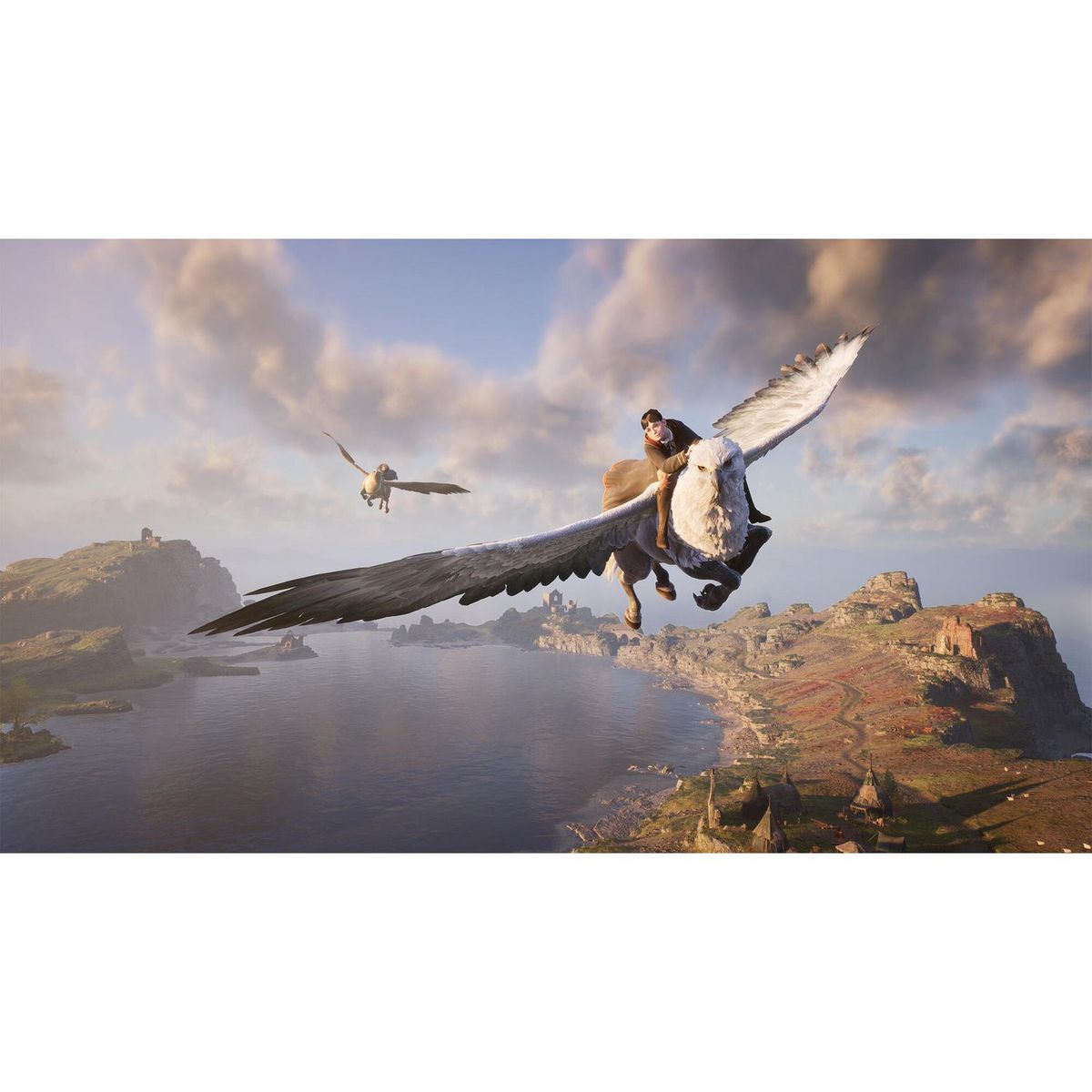 Hogwarts Legacy: L'Héritage de Poudlard Nintendo Switch