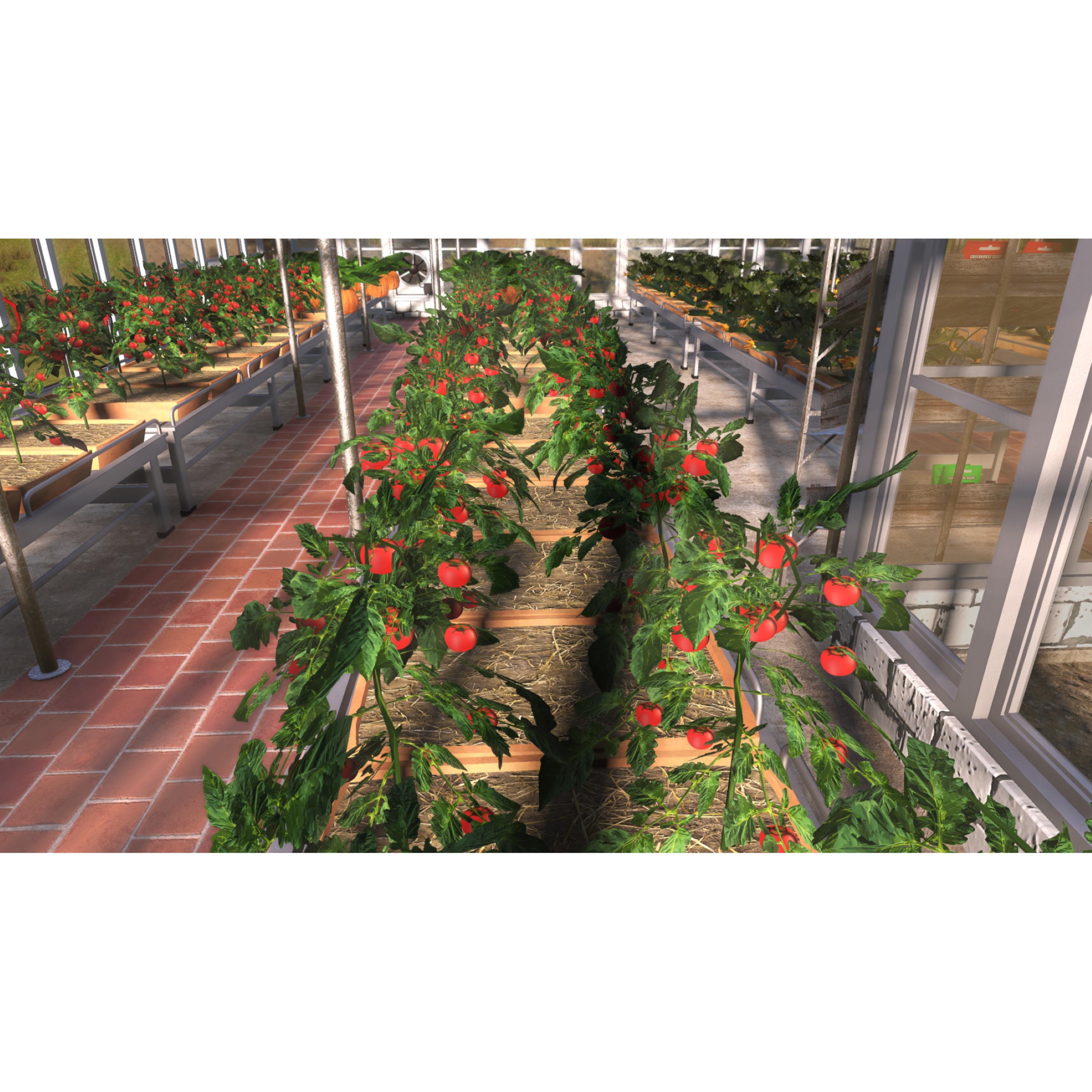 Voir la diapositive 6 : Farmer's Dynasty PS4